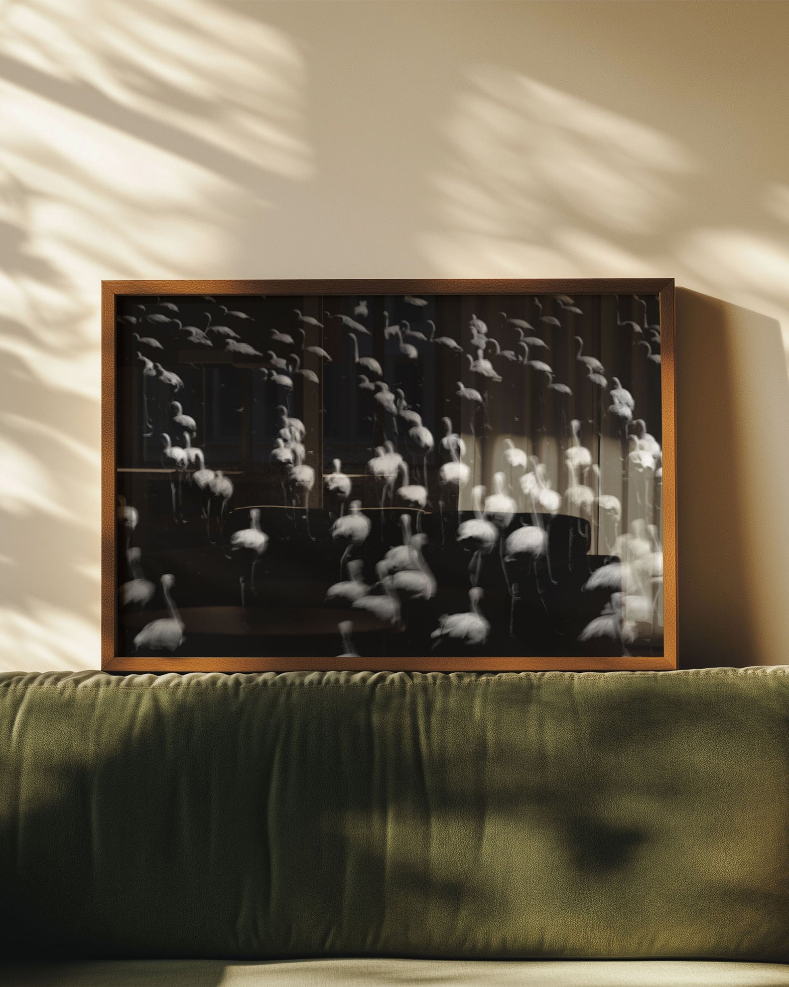 Namibia’s Flamingoes