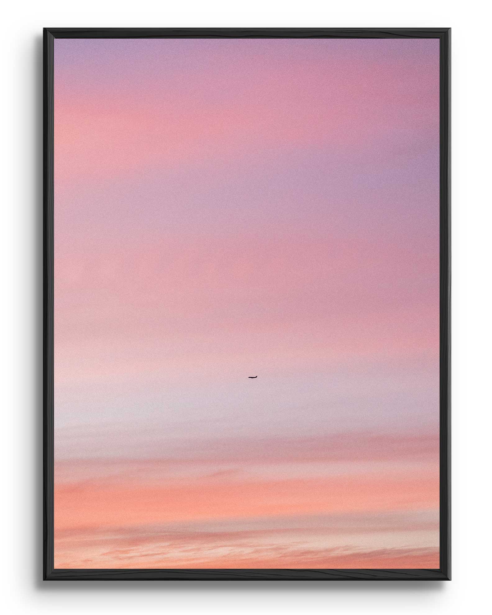 Pastel Flight