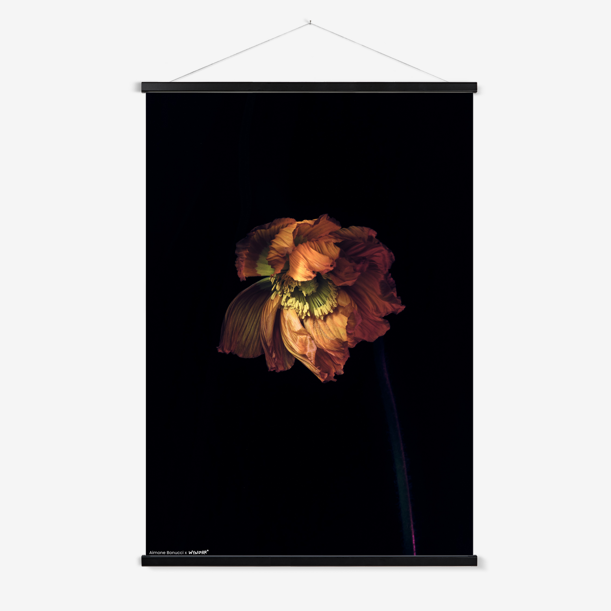 Hanger Black