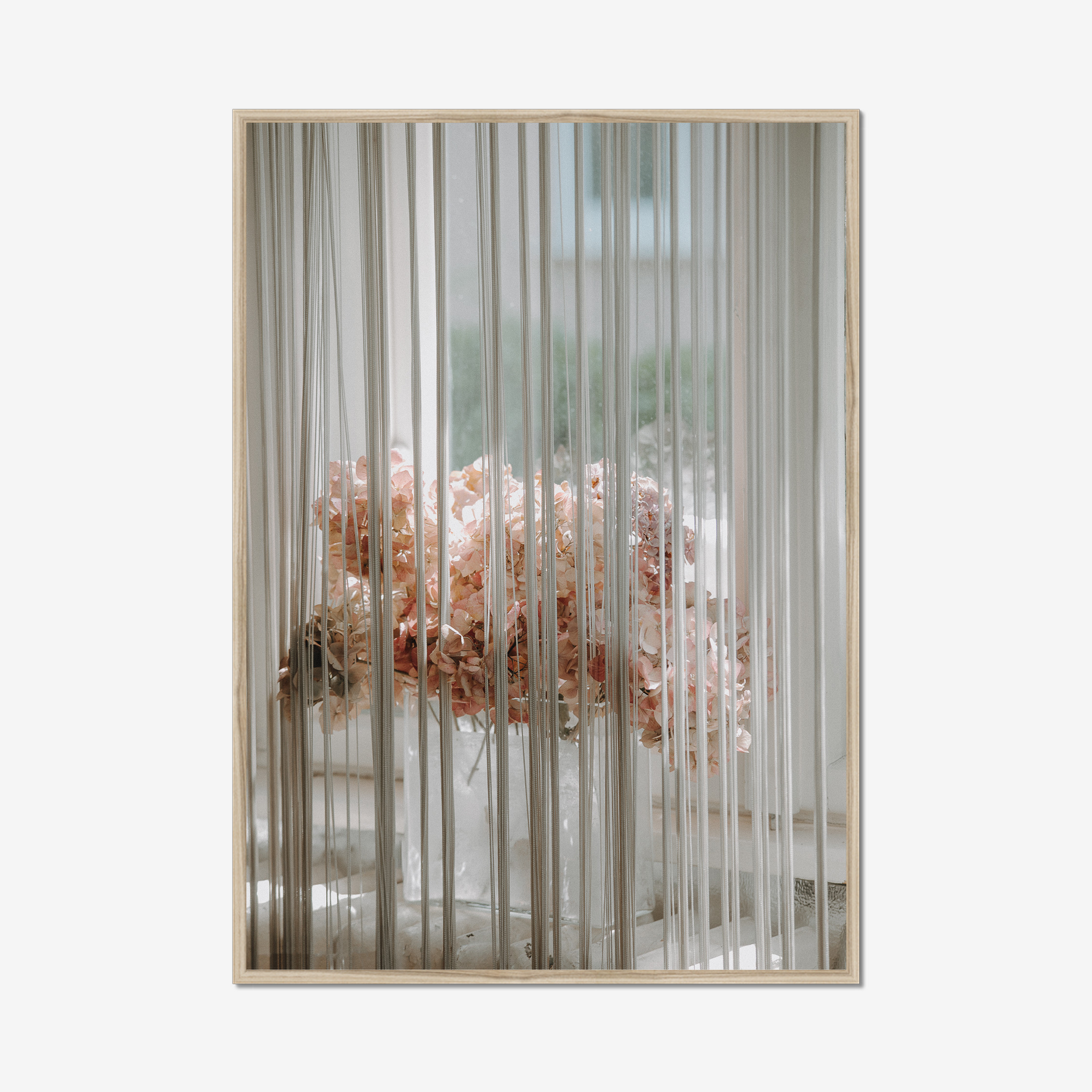 Frame Nature