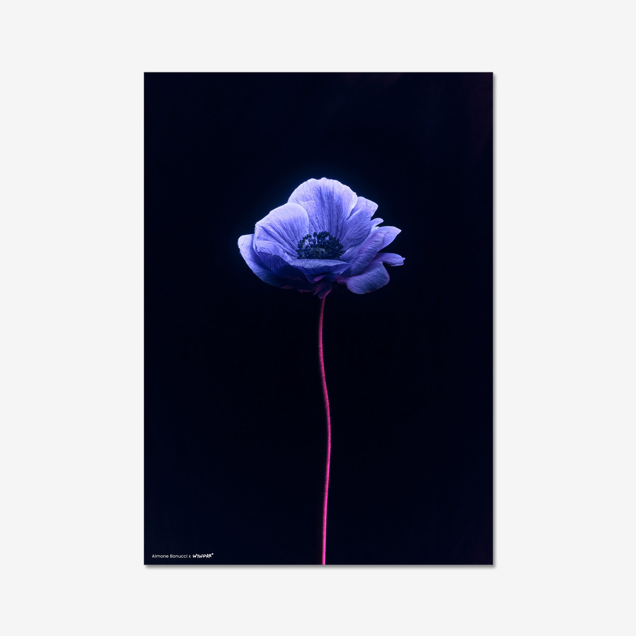Print