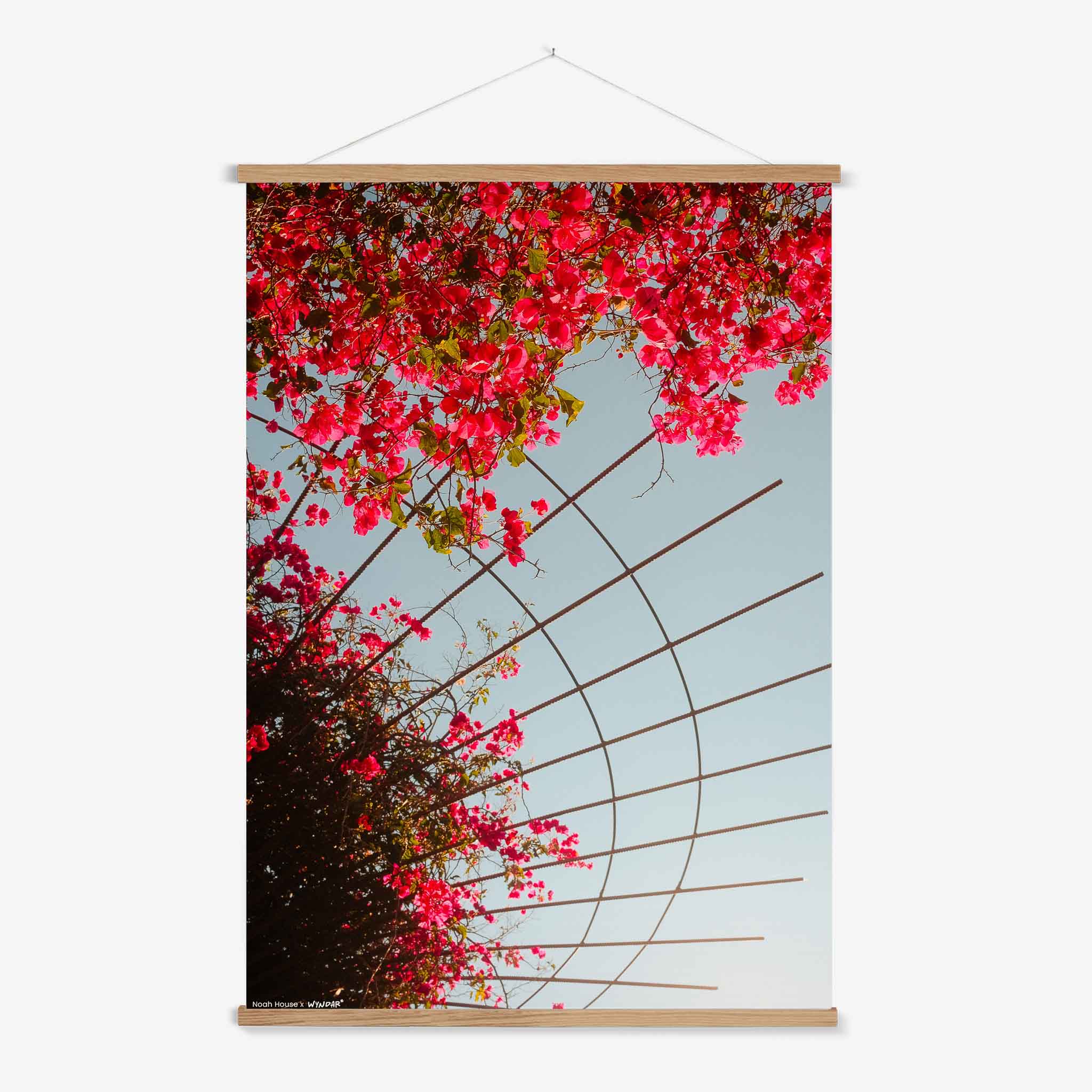 Spring Flowers Hanger Nature