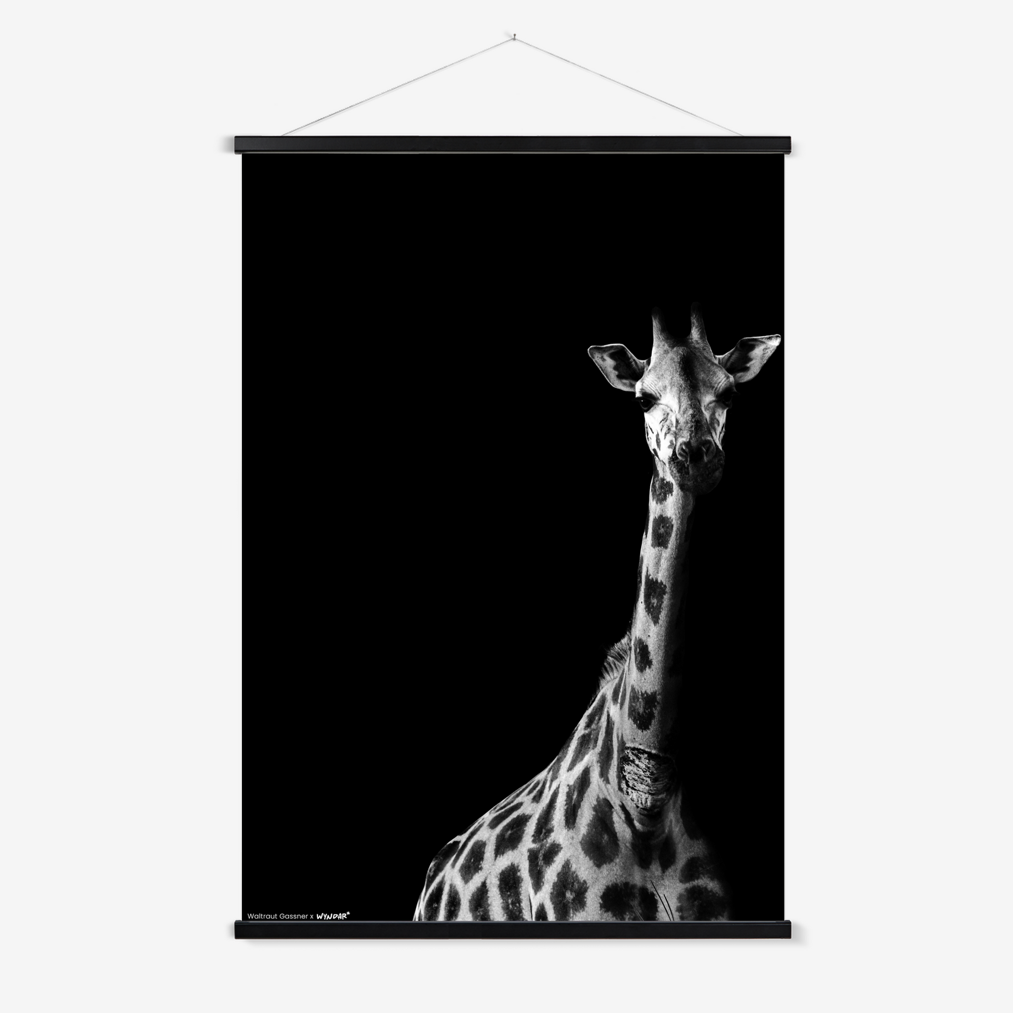 Hanger Black
