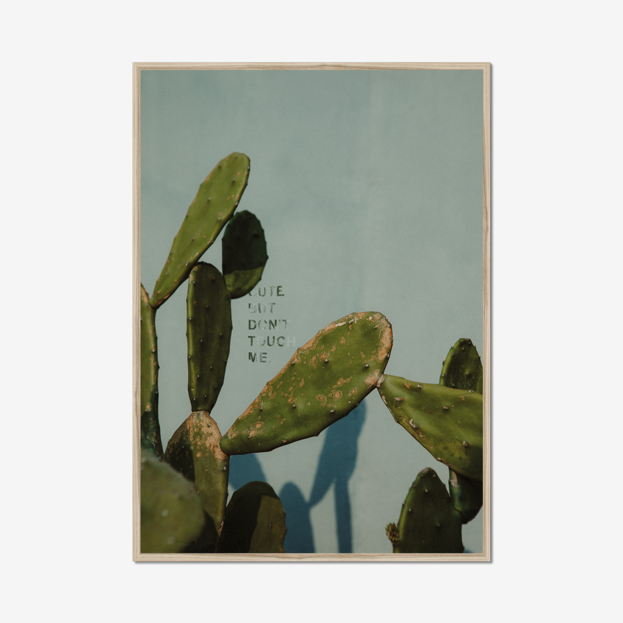 Frame Nature