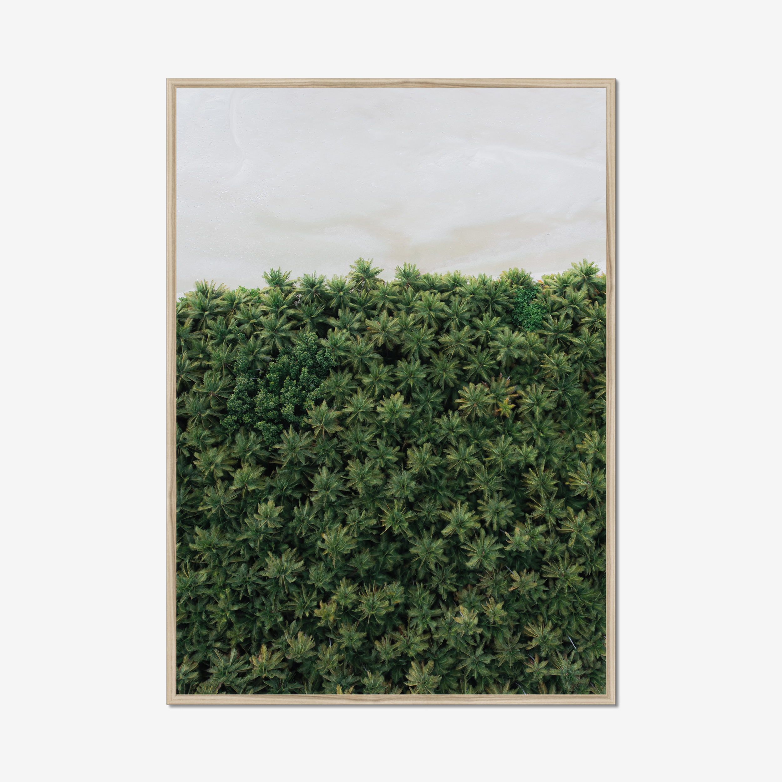Frame Nature