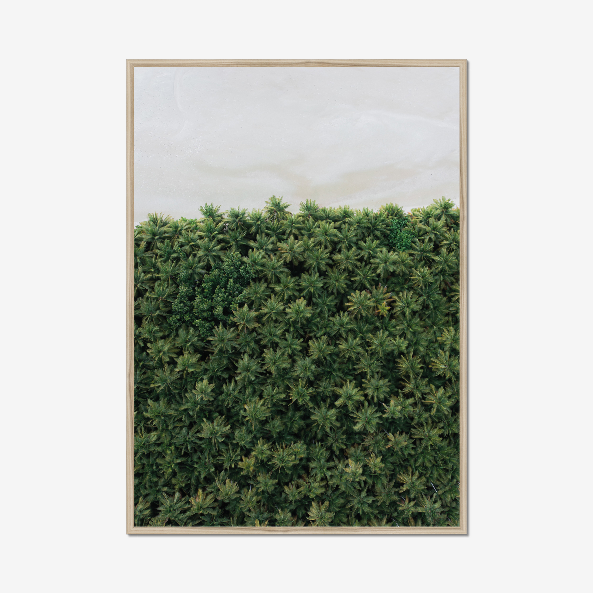 Frame Nature