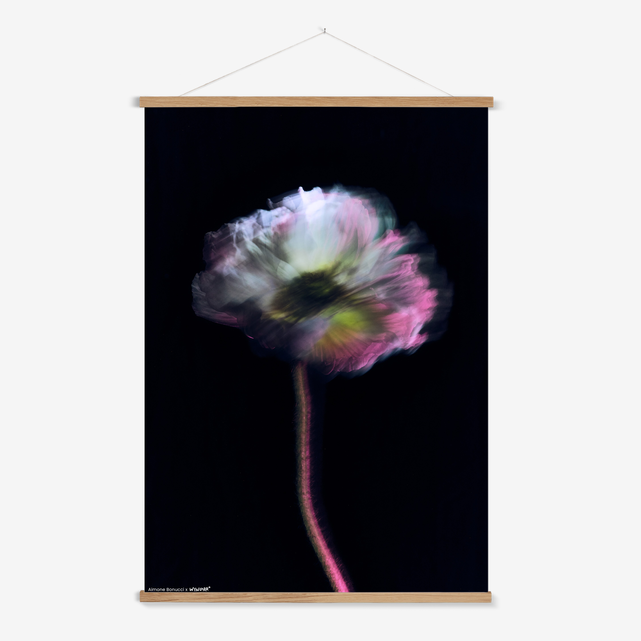 Hanger Nature