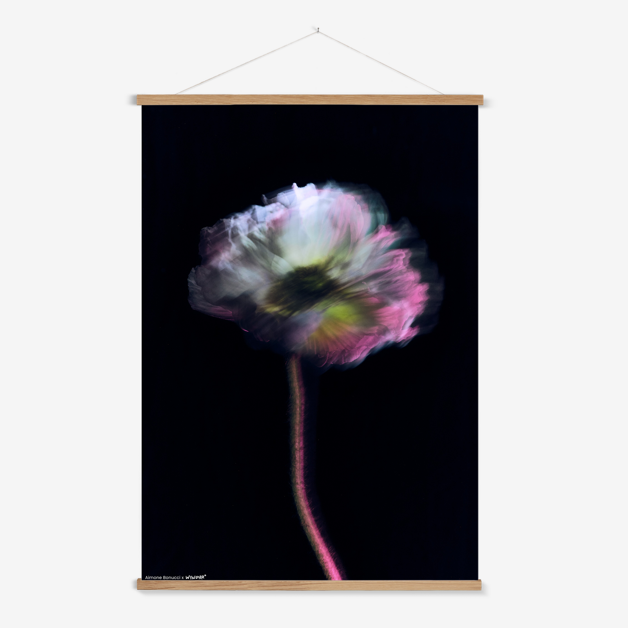 Hanger Nature