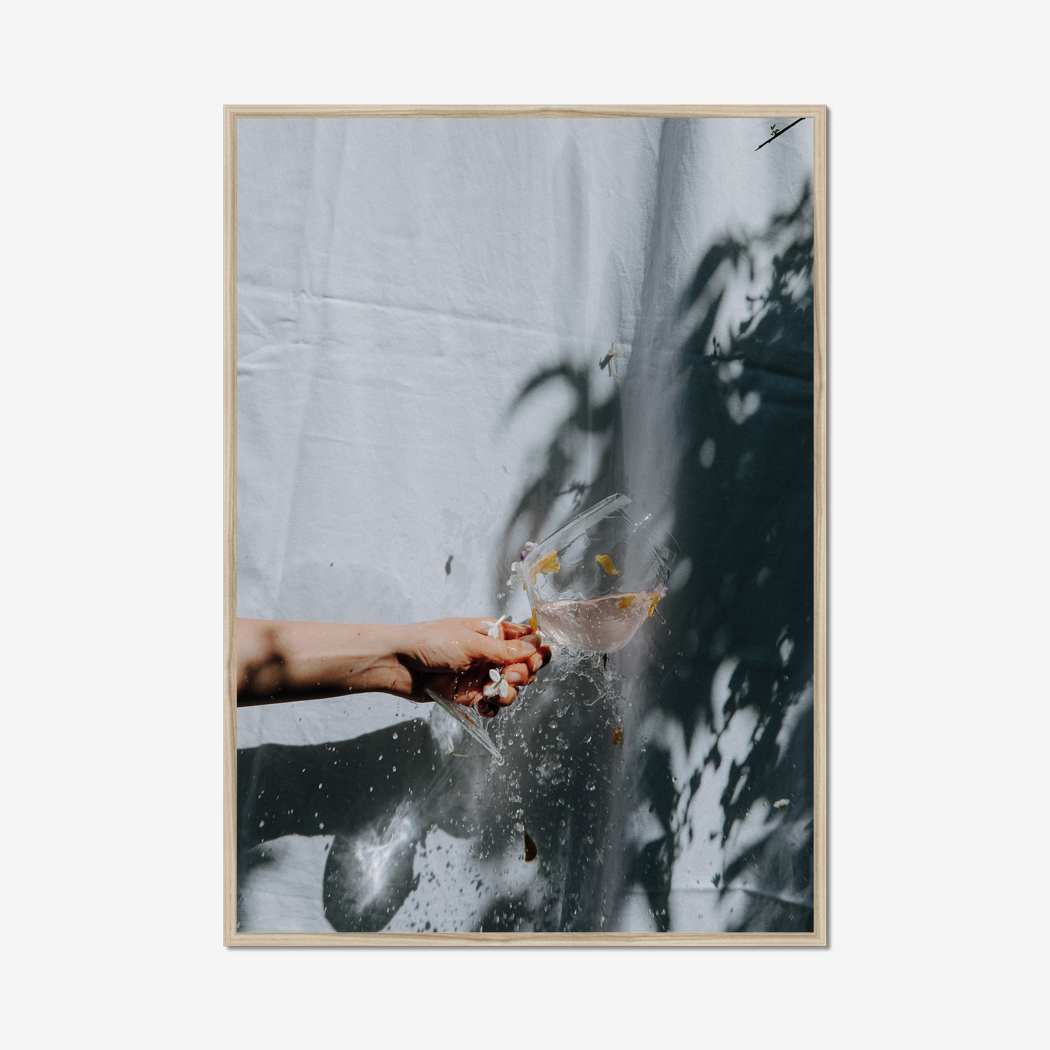 Frame Nature