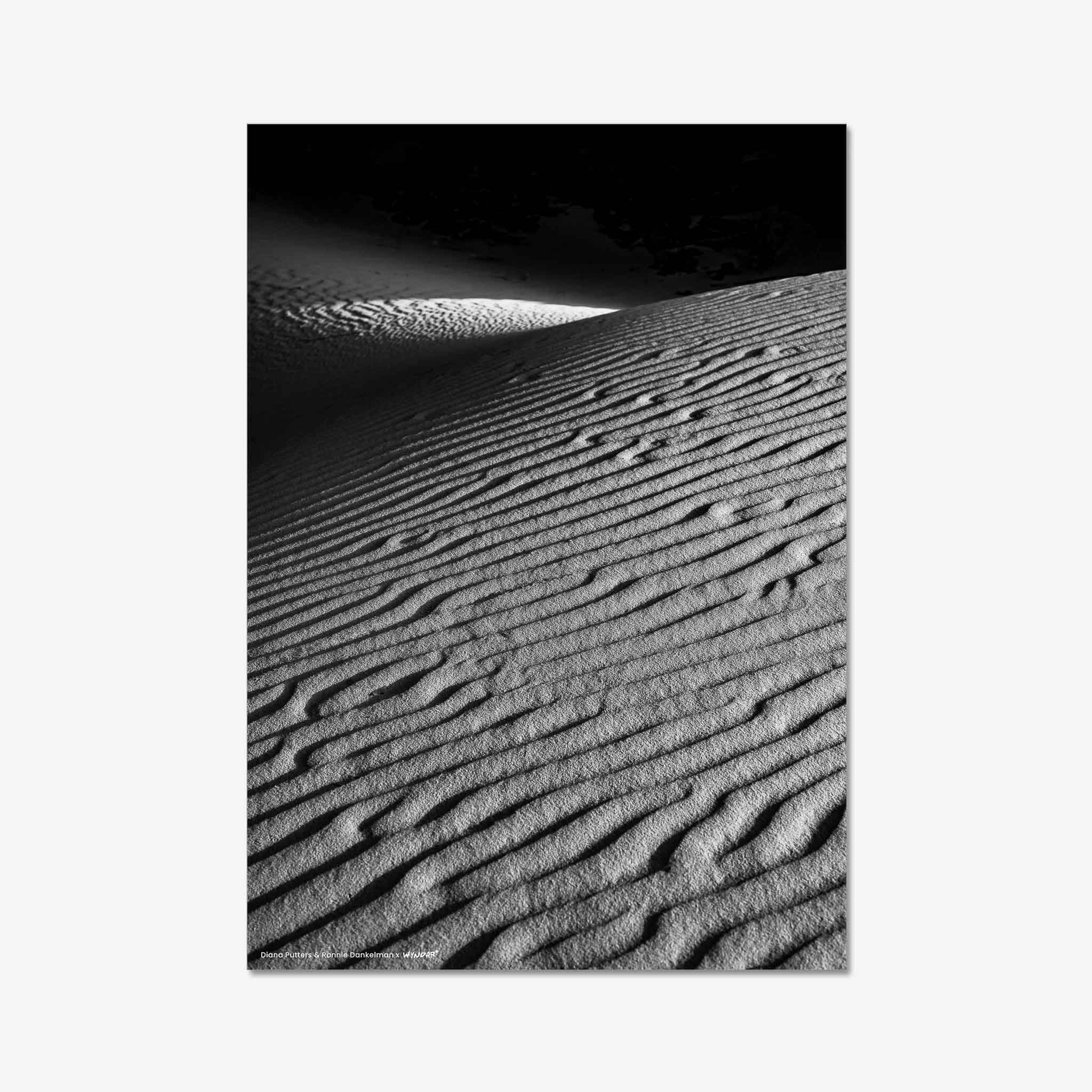 Shadow and light in the Sahara Print