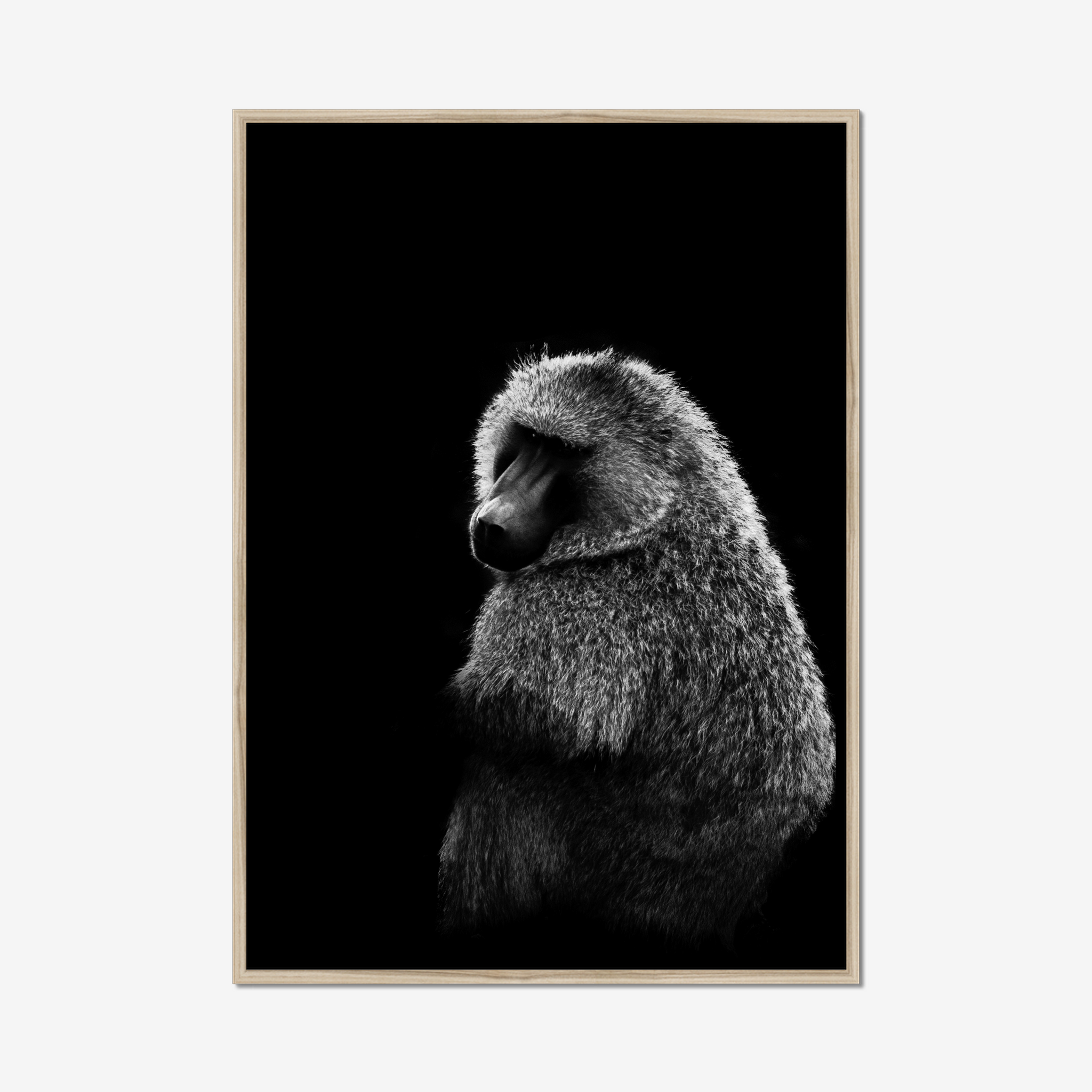 Frame Nature