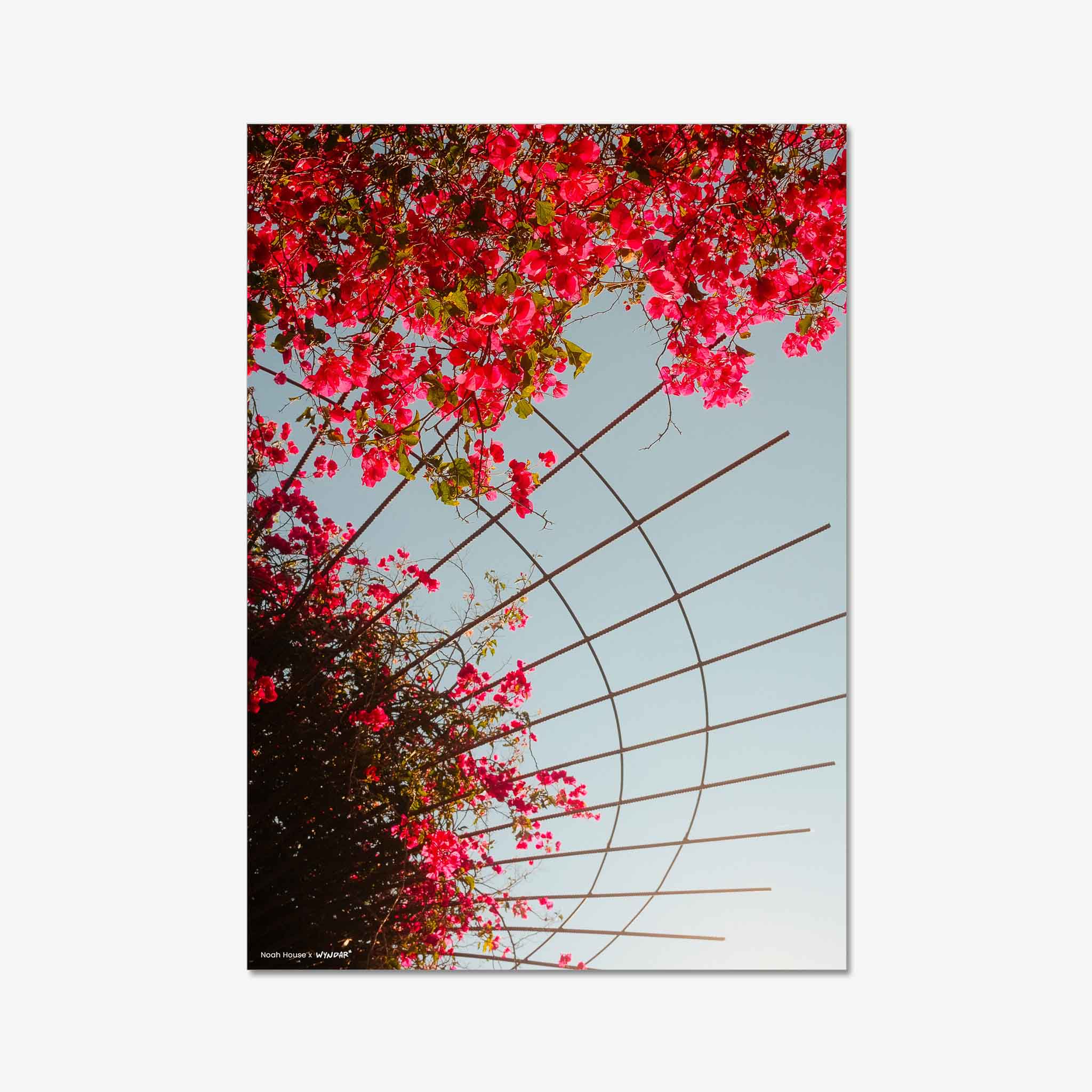 Spring Flowers Print