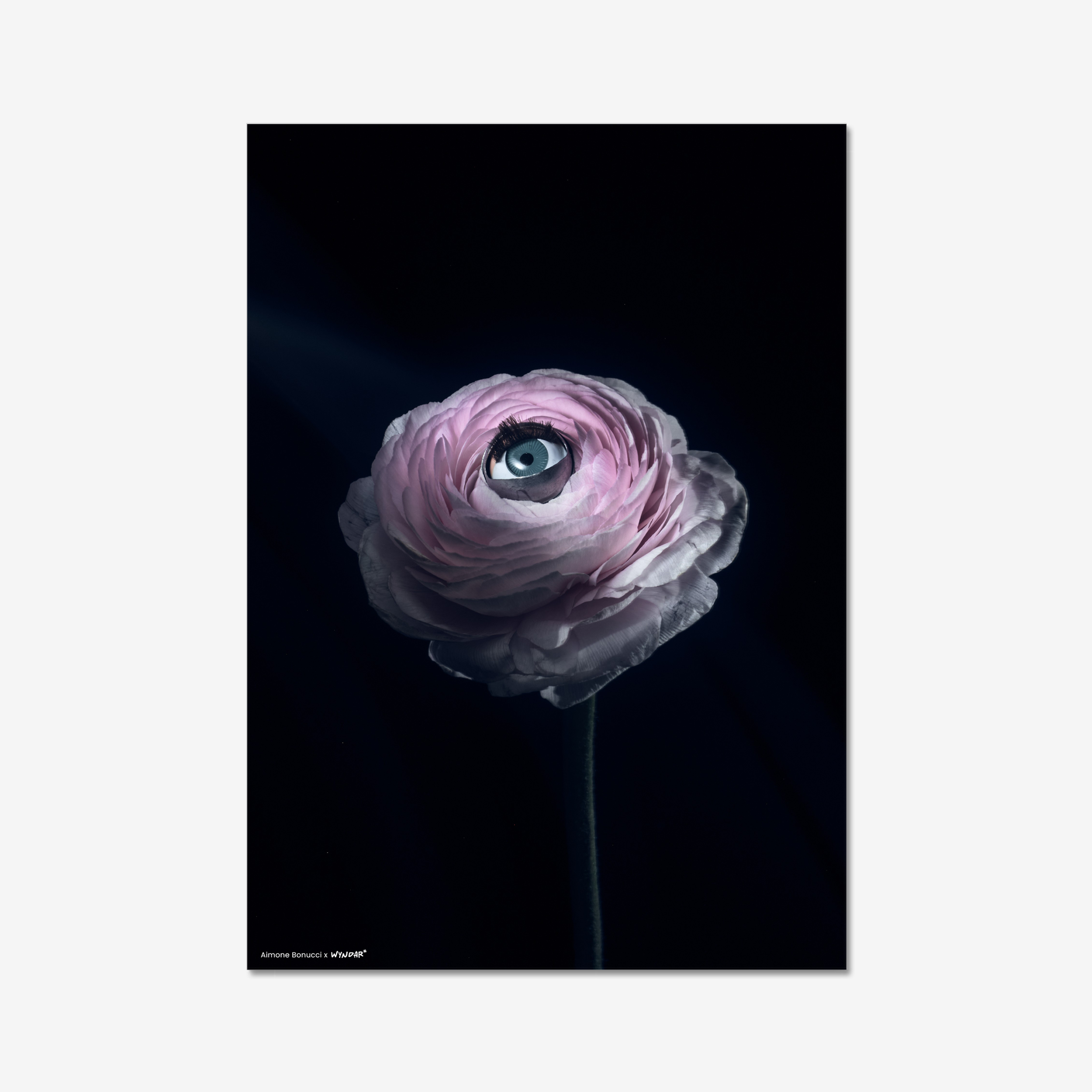 Print