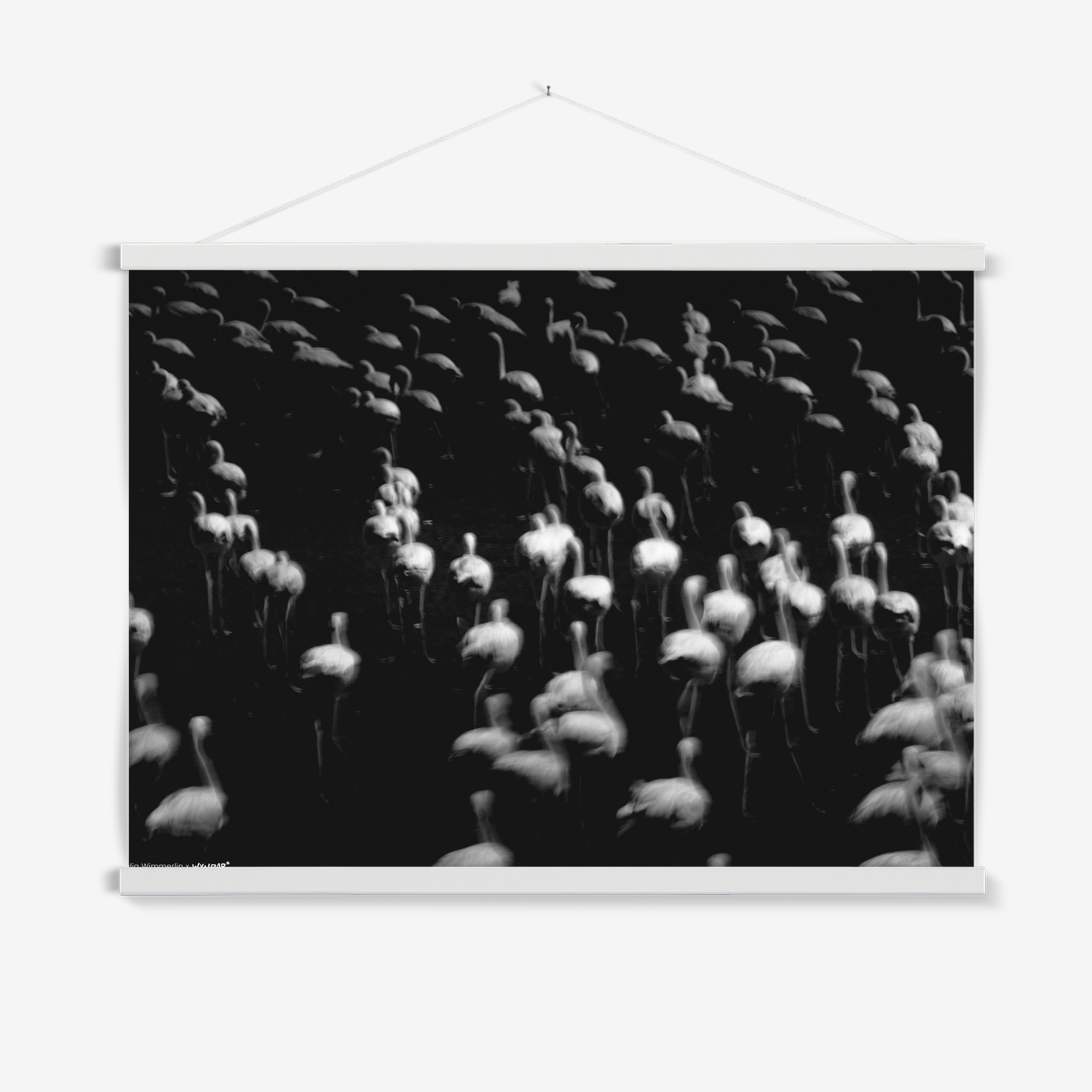 Hanger White