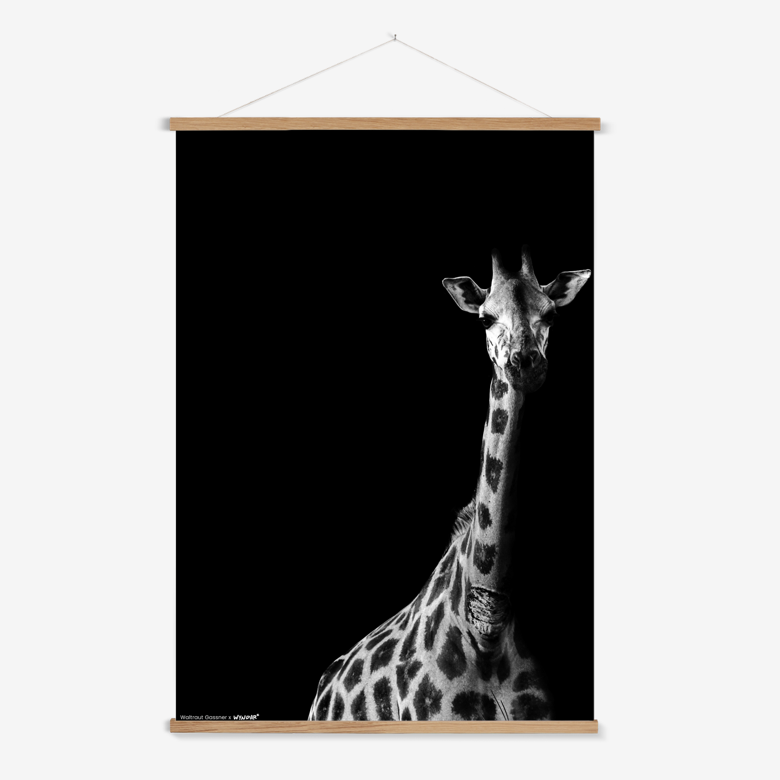 Hanger Nature