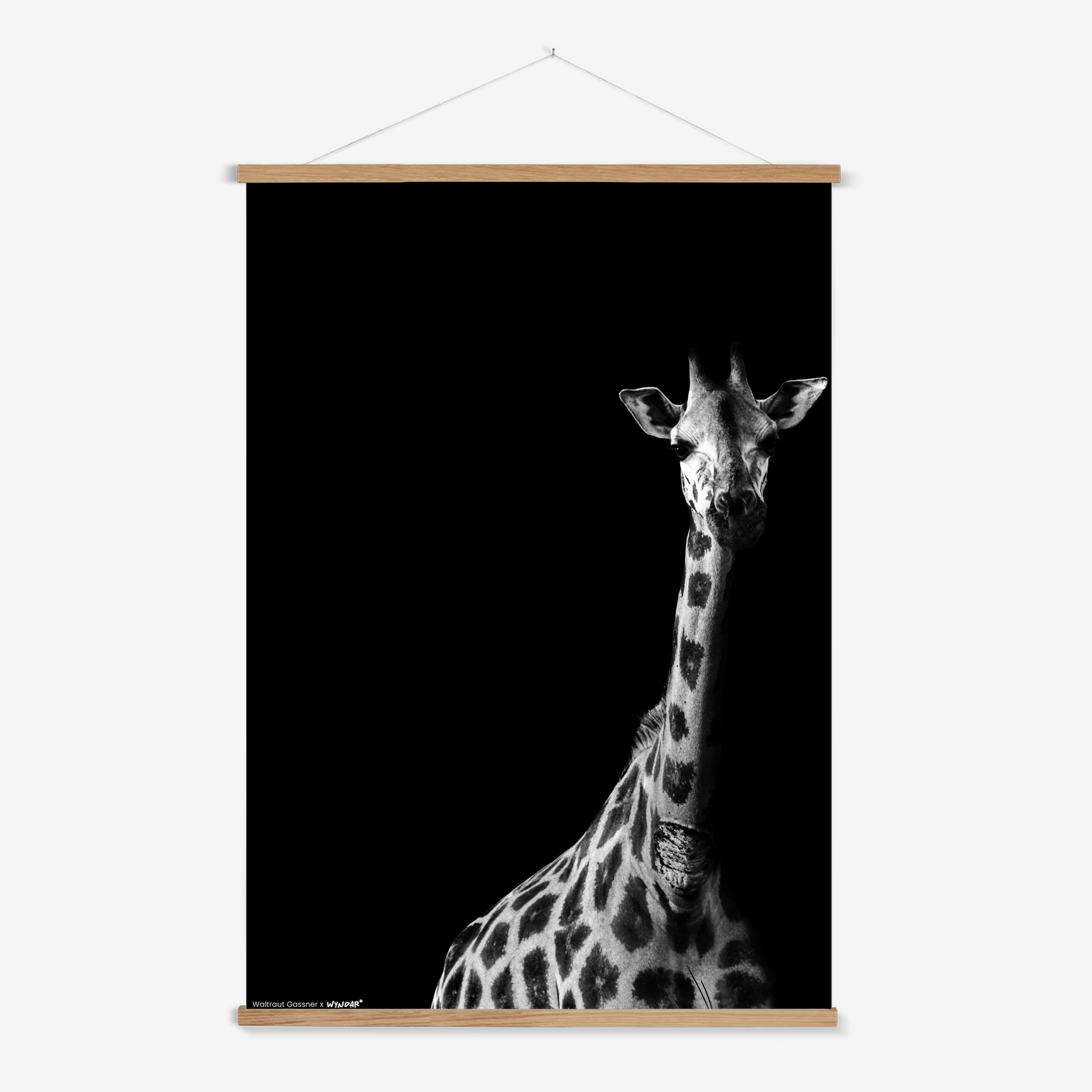 Hanger Nature