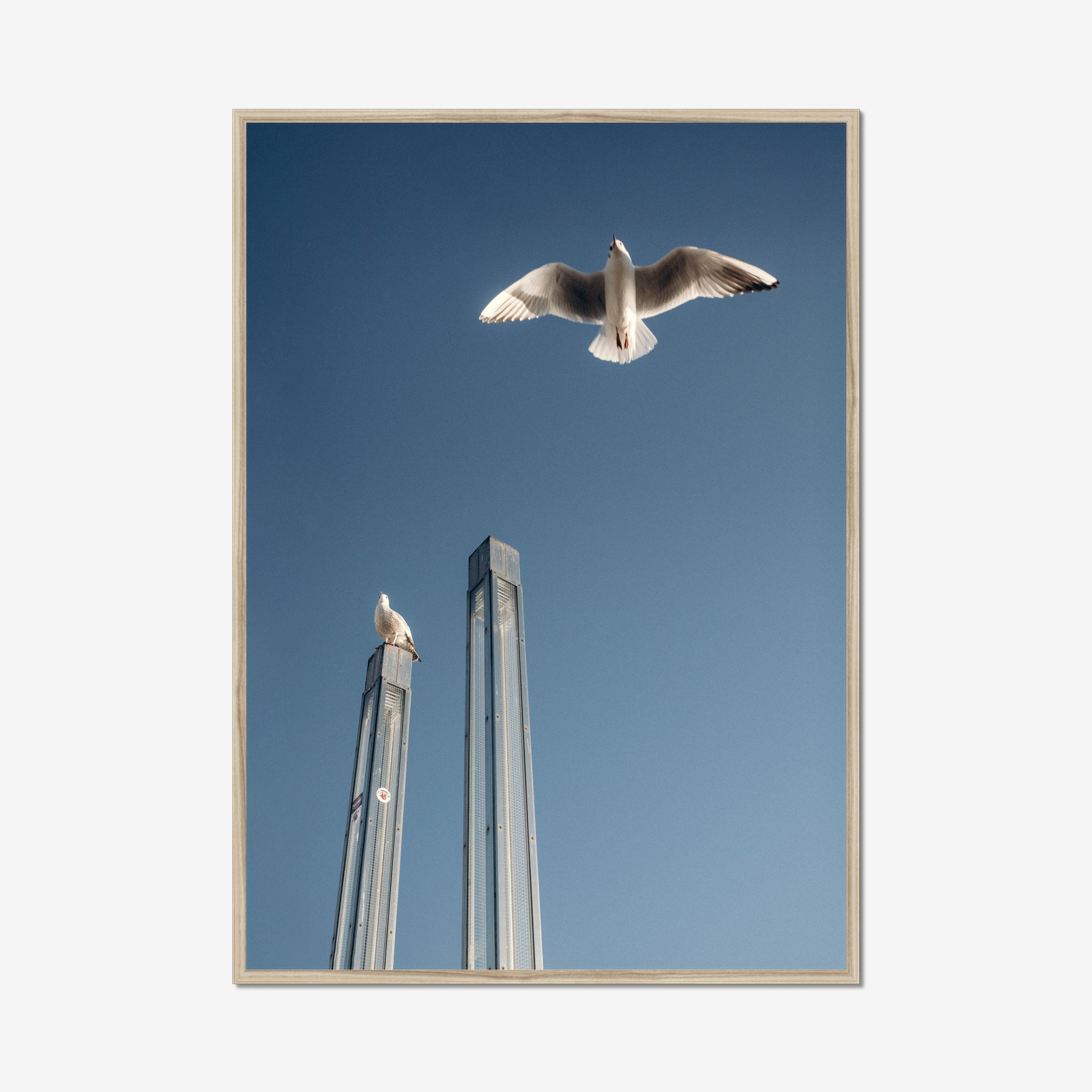 Frame Nature