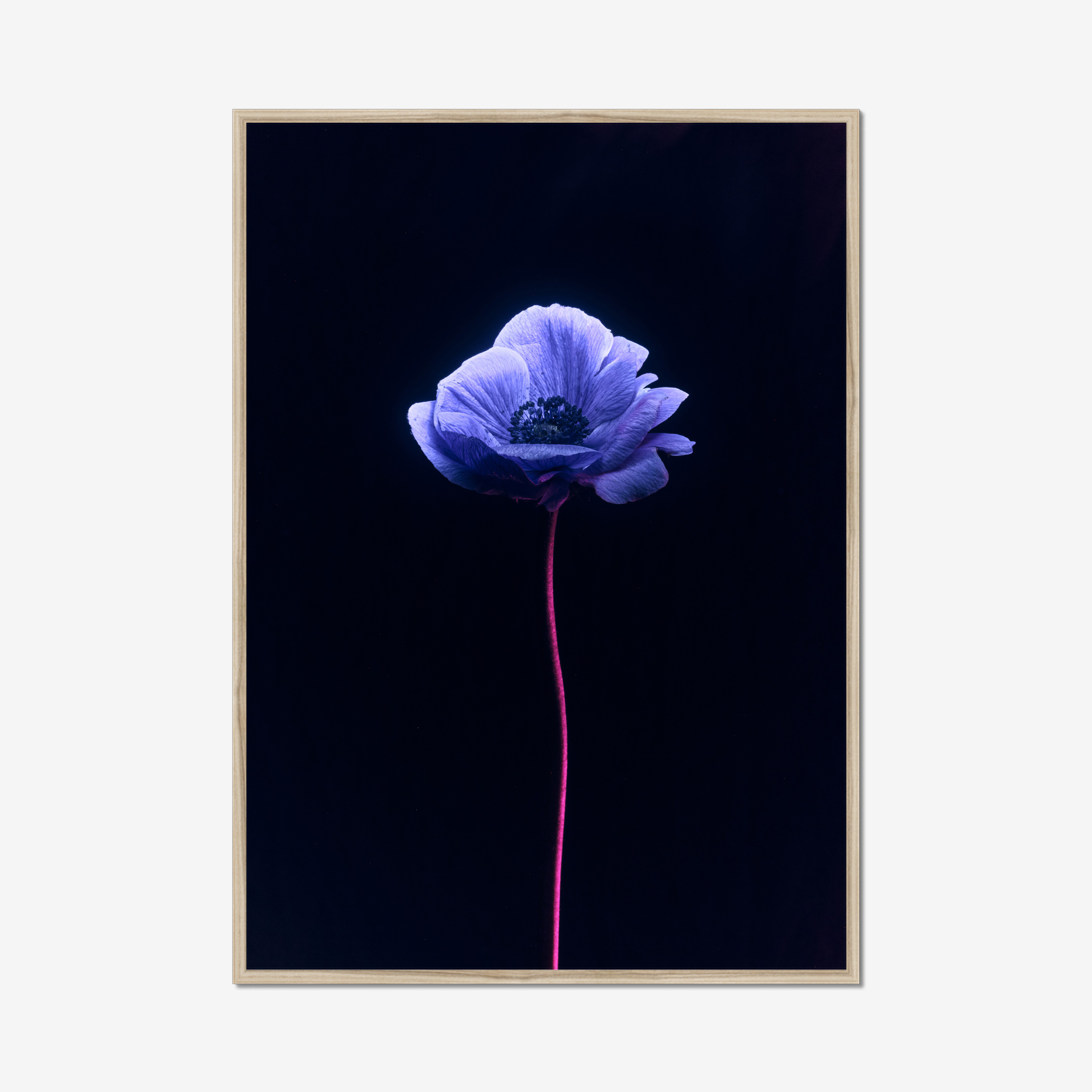 Frame Nature