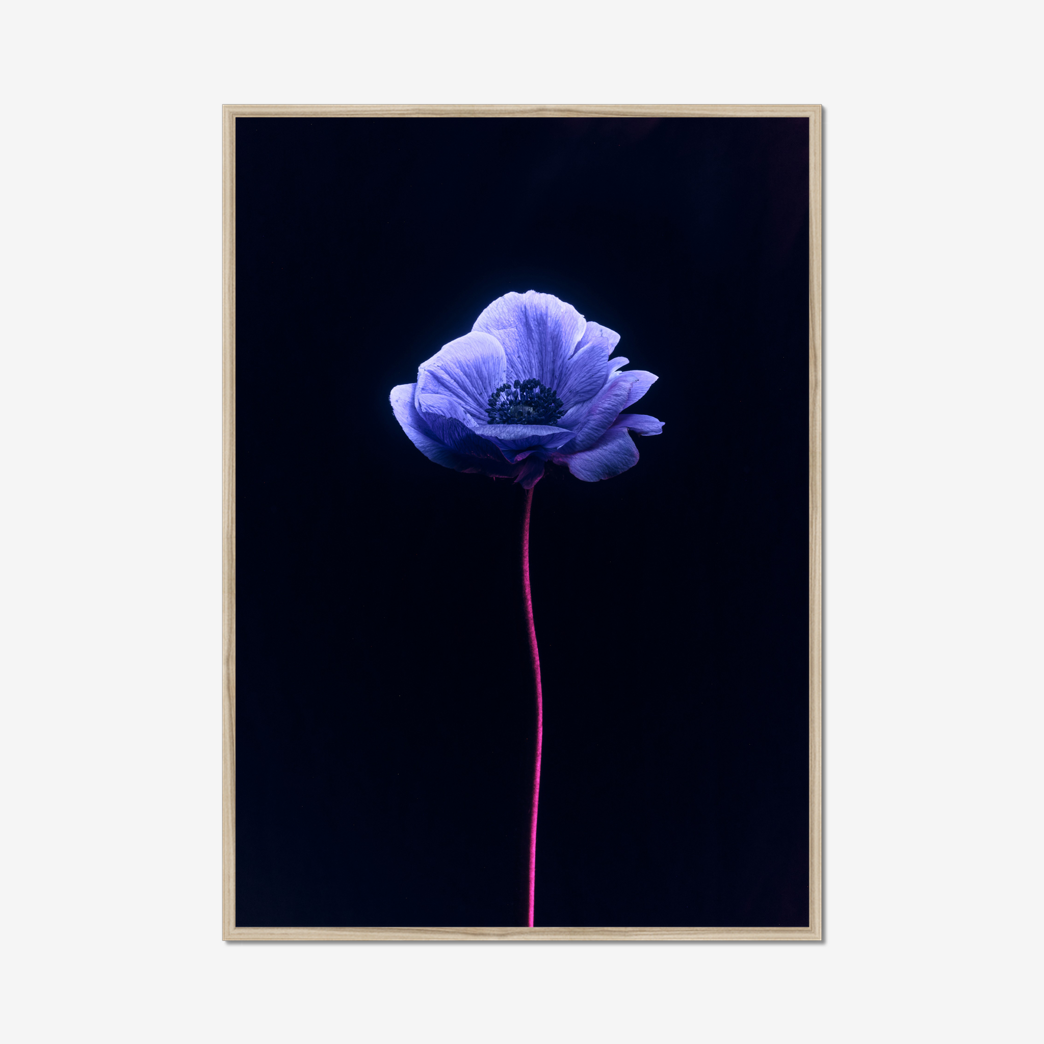 Frame Nature
