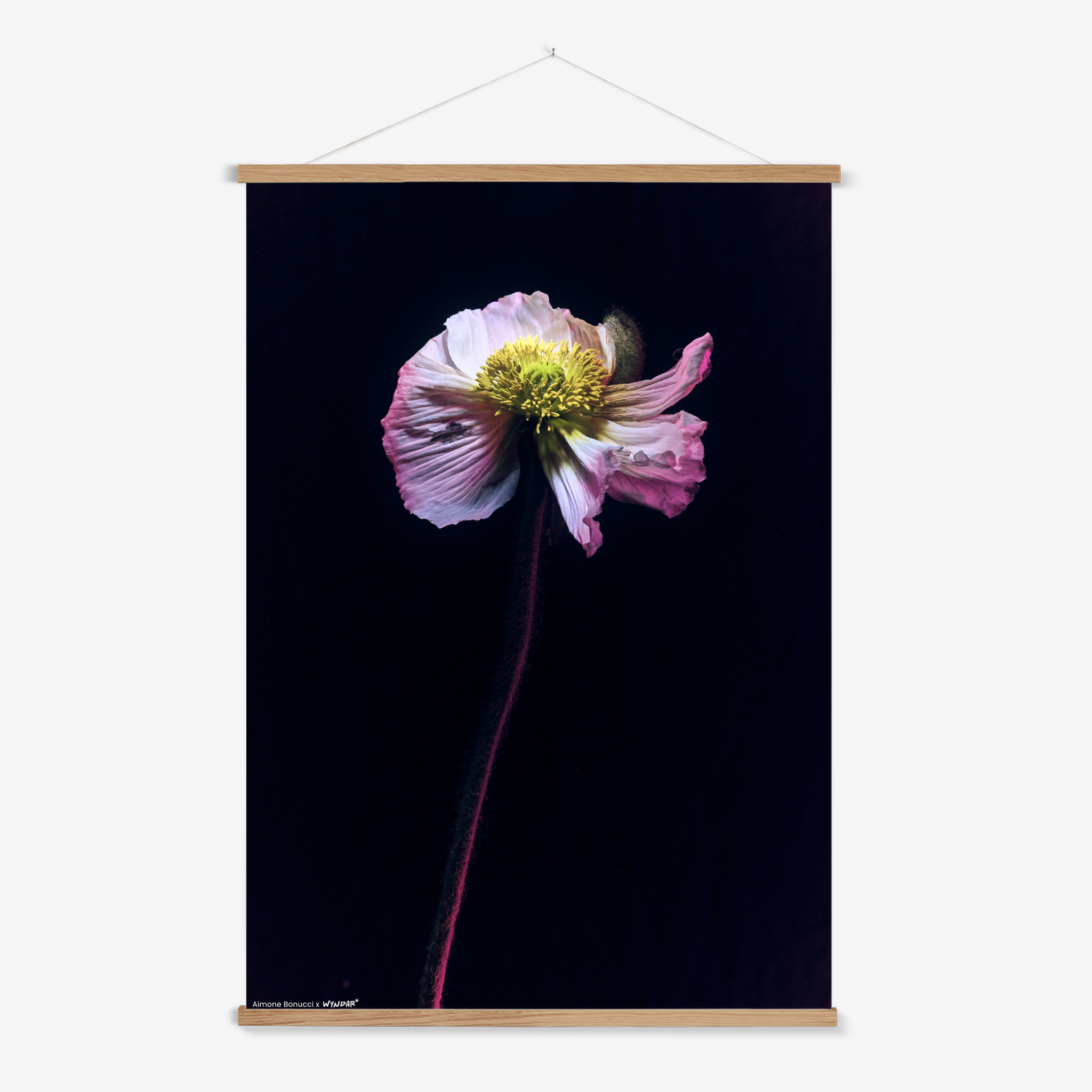 Hanger Nature