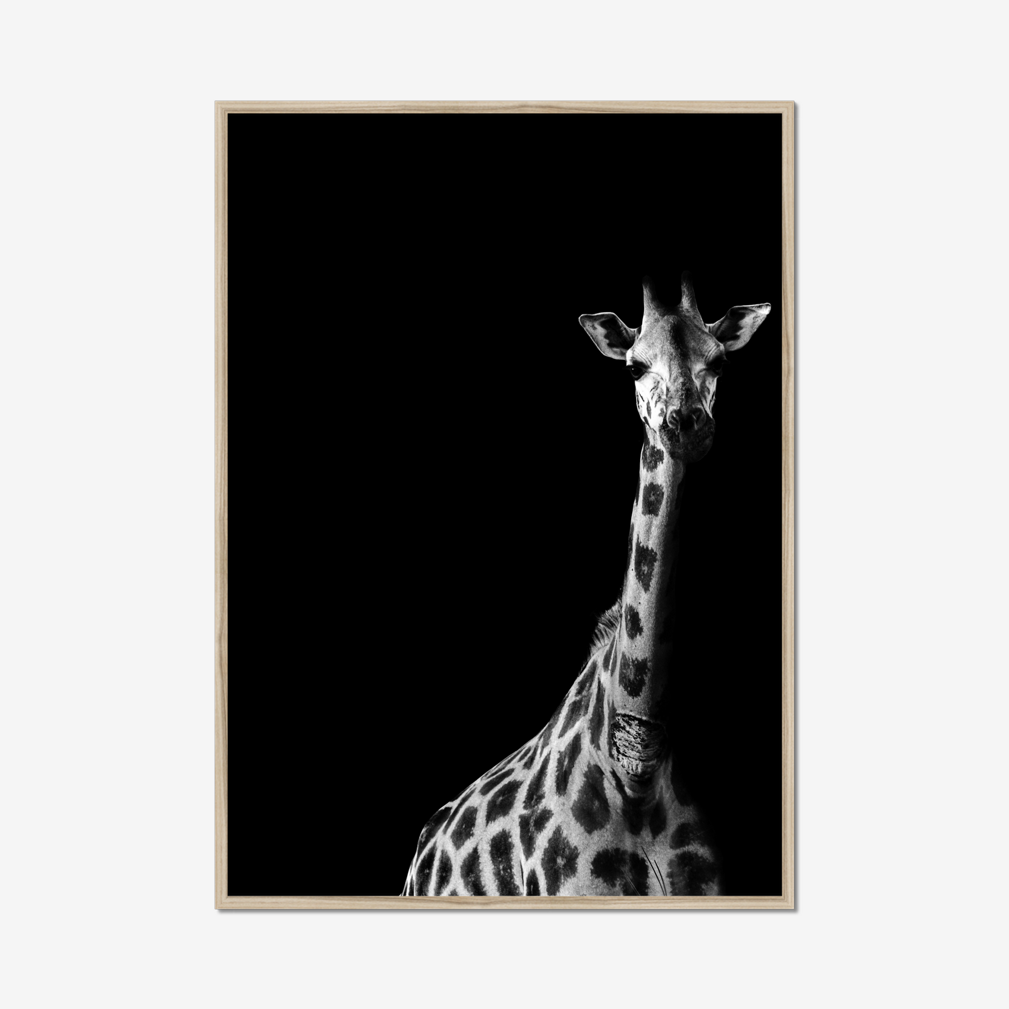Frame Nature