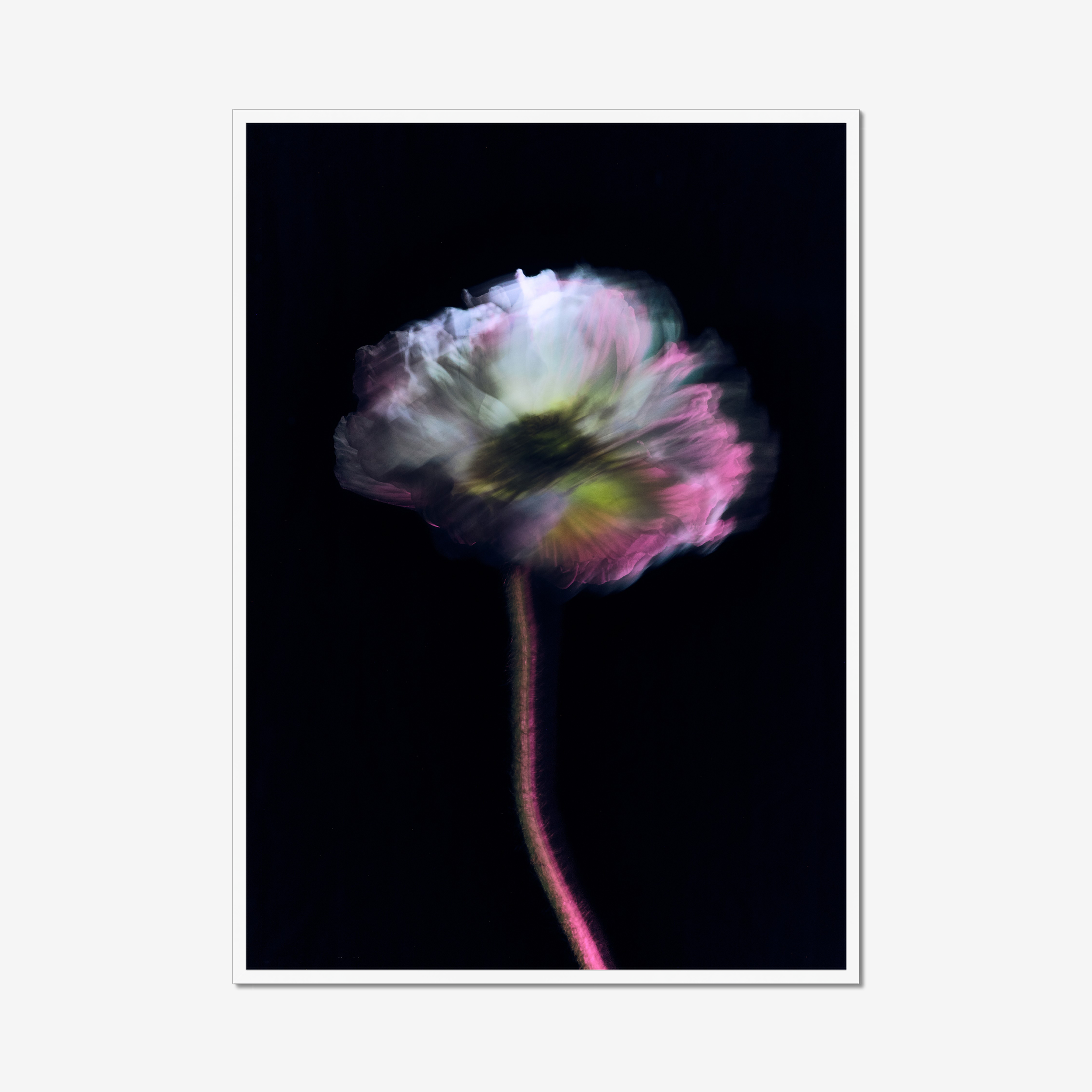 Frame White