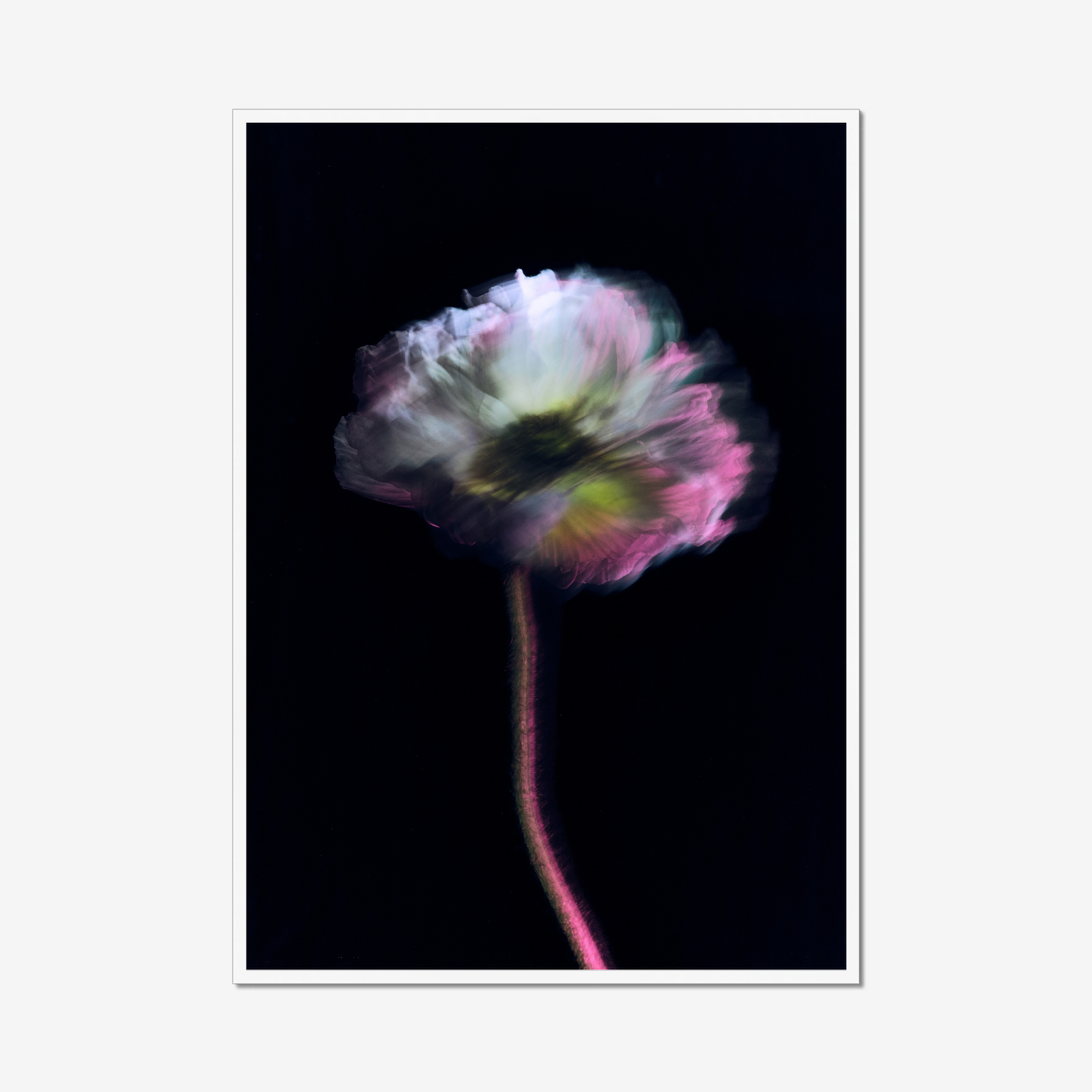 Frame White