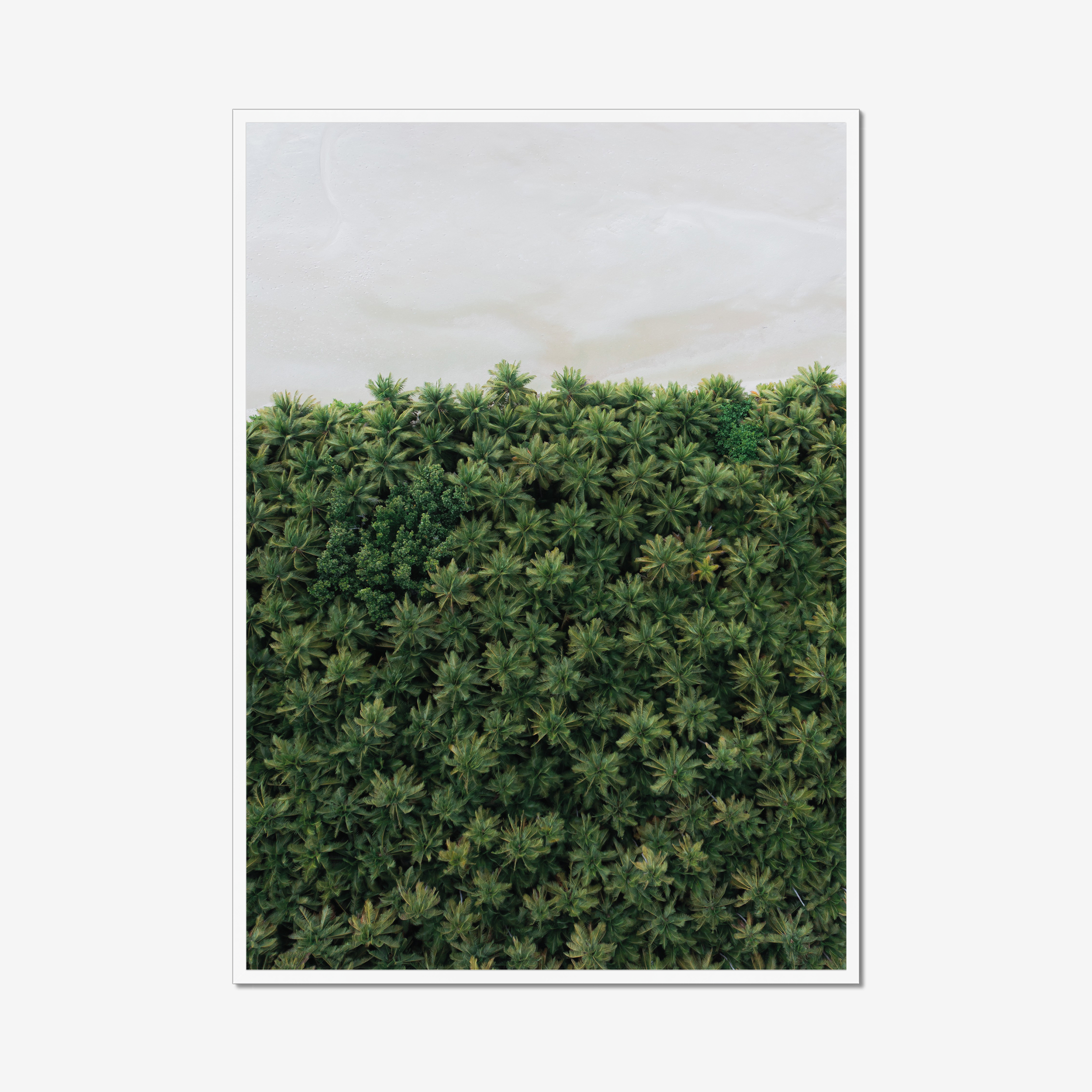 Frame White