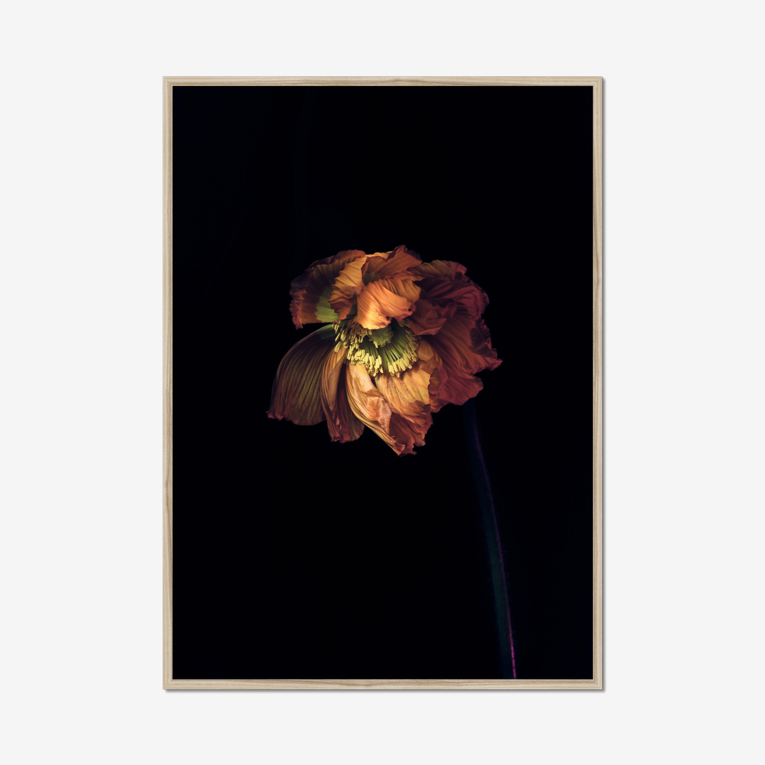 Frame Nature