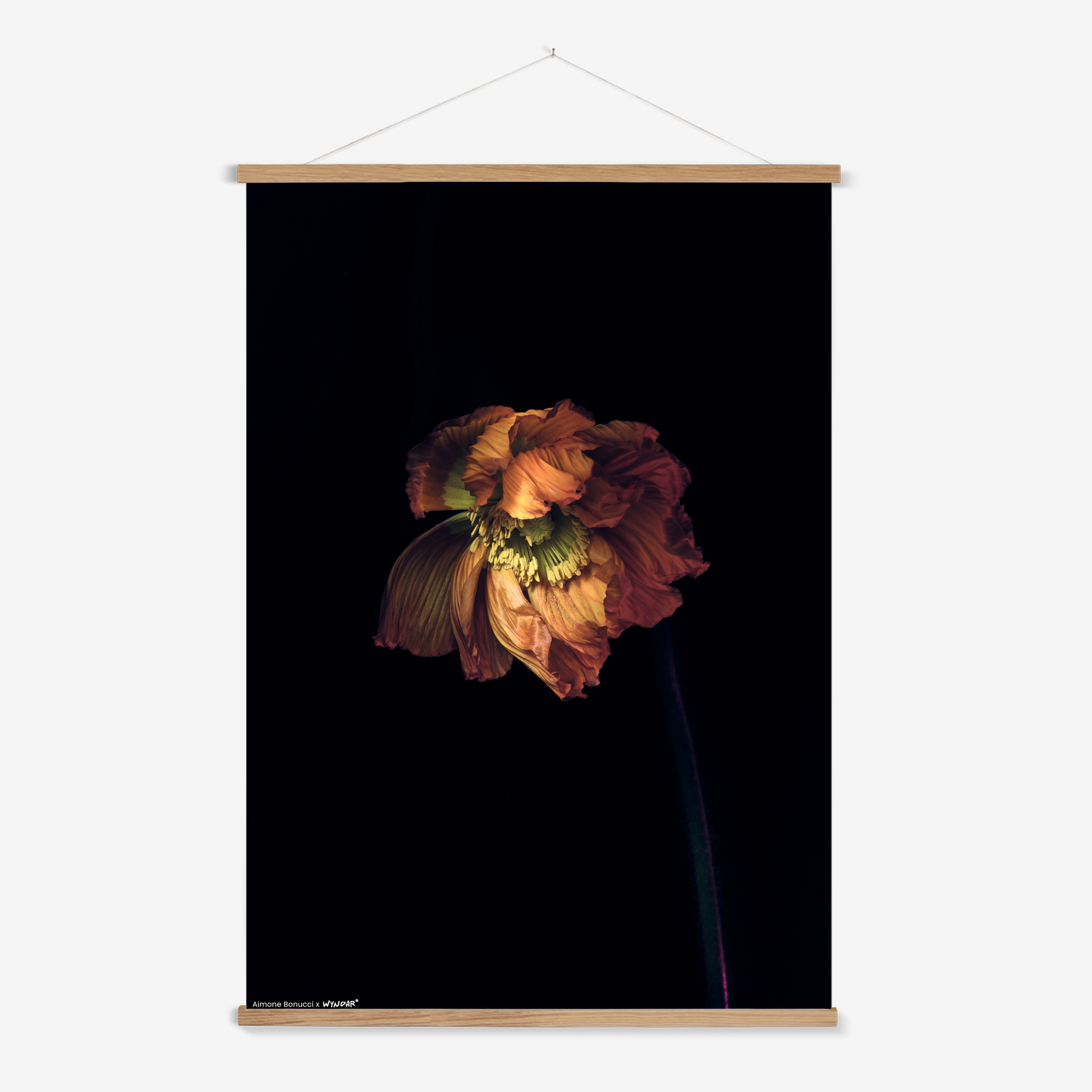 Hanger Nature