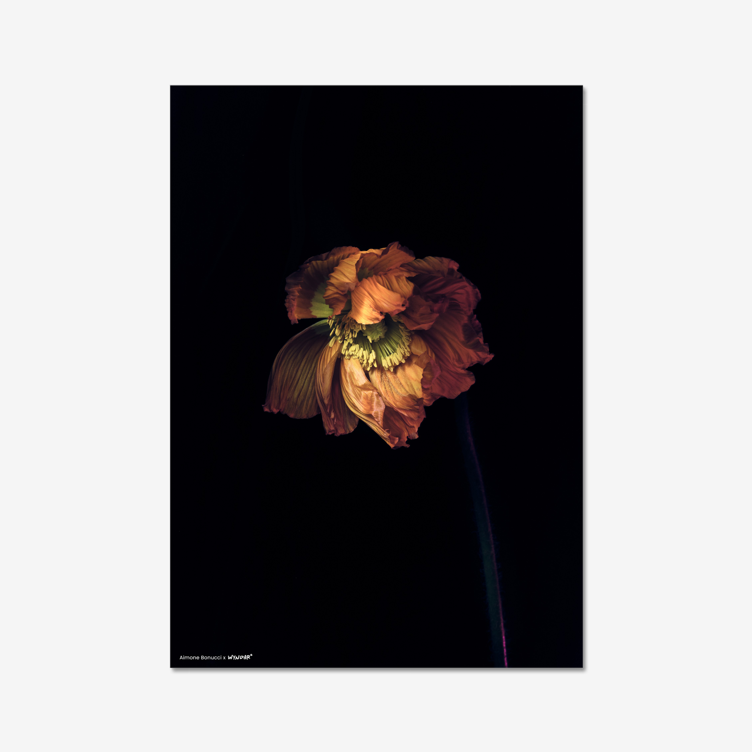Print