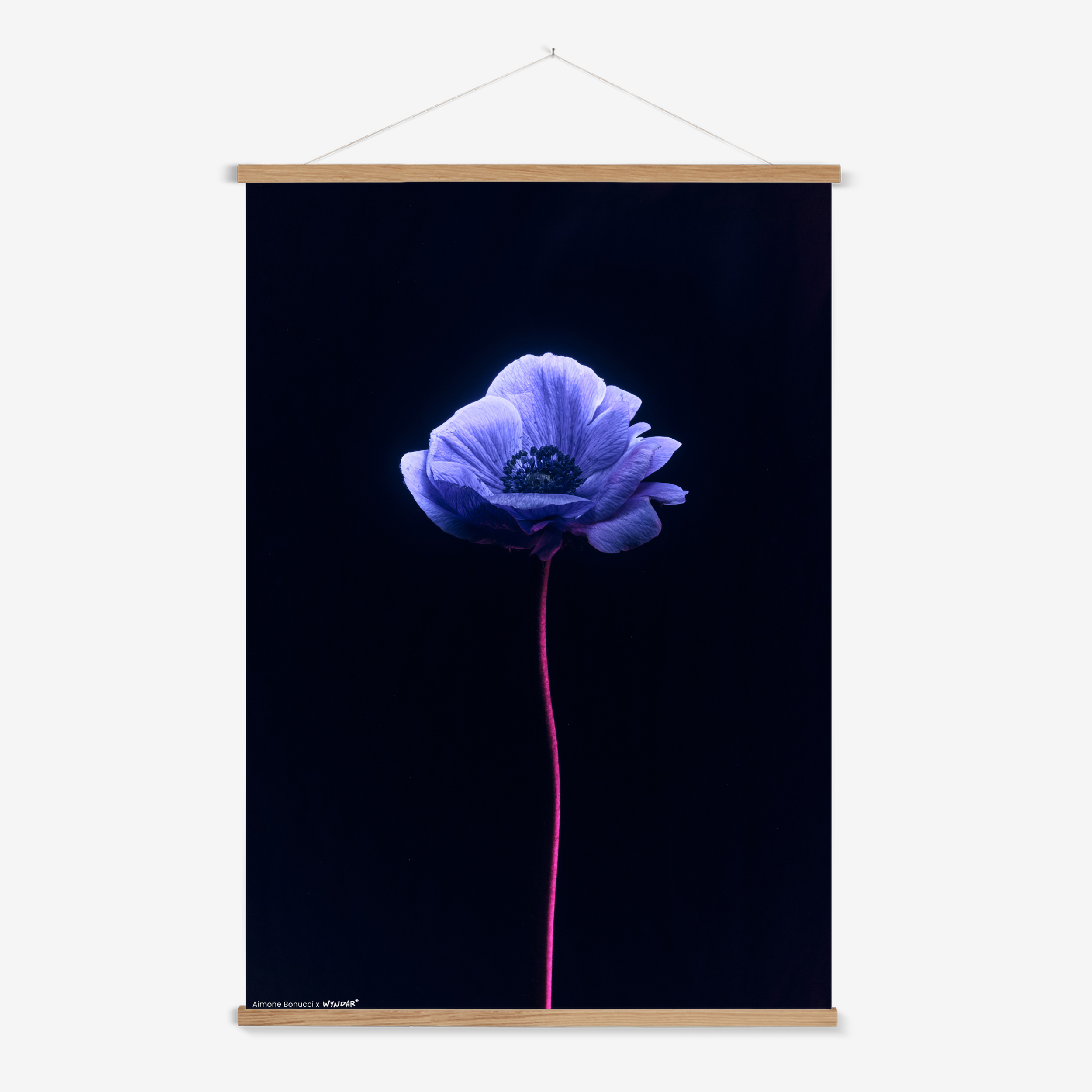 Hanger Nature