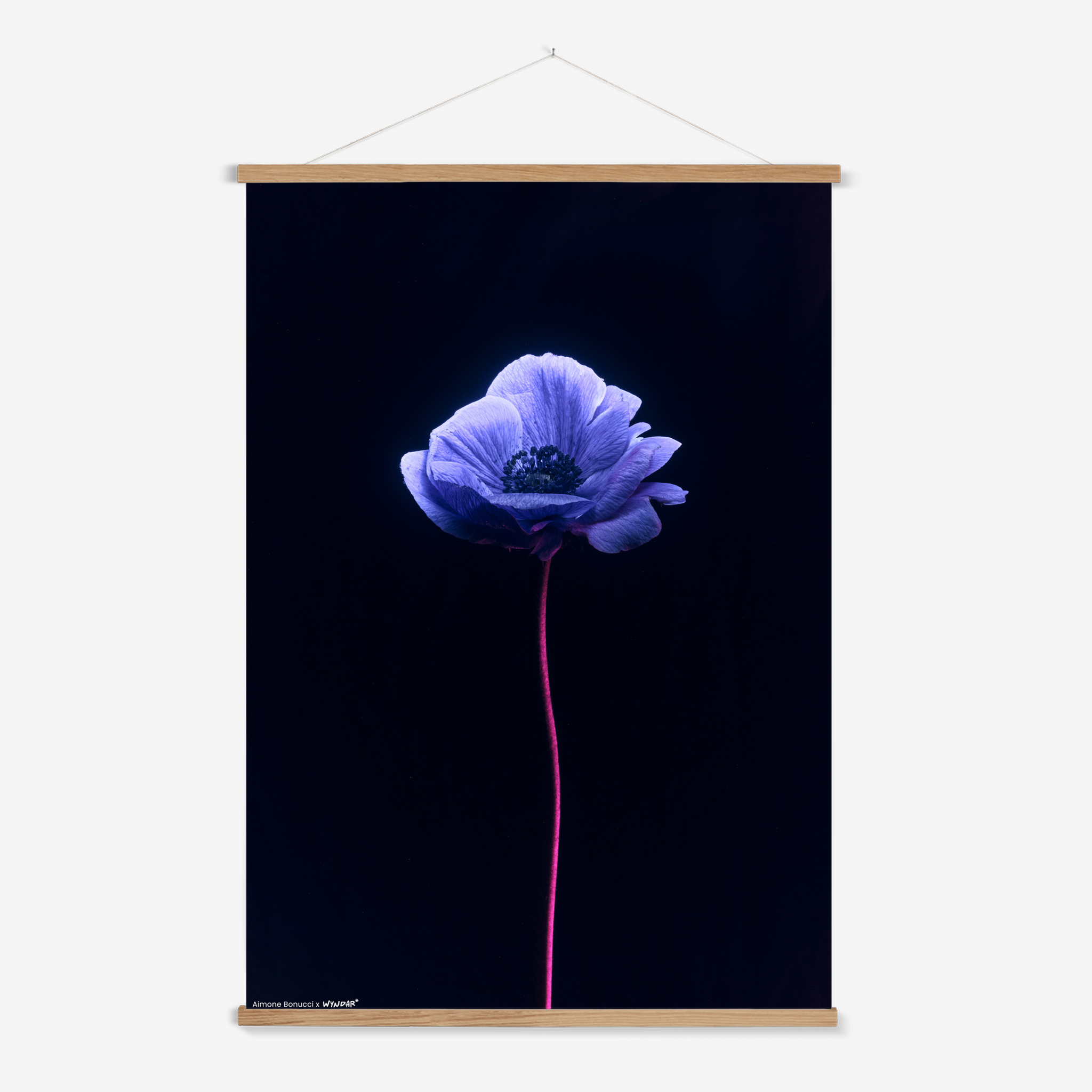 Hanger Nature