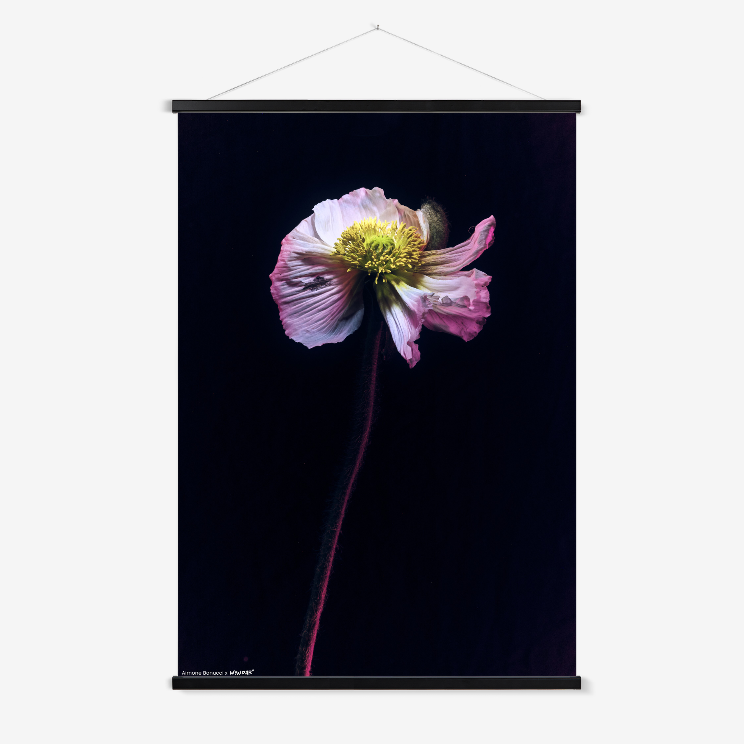 Hanger Black
