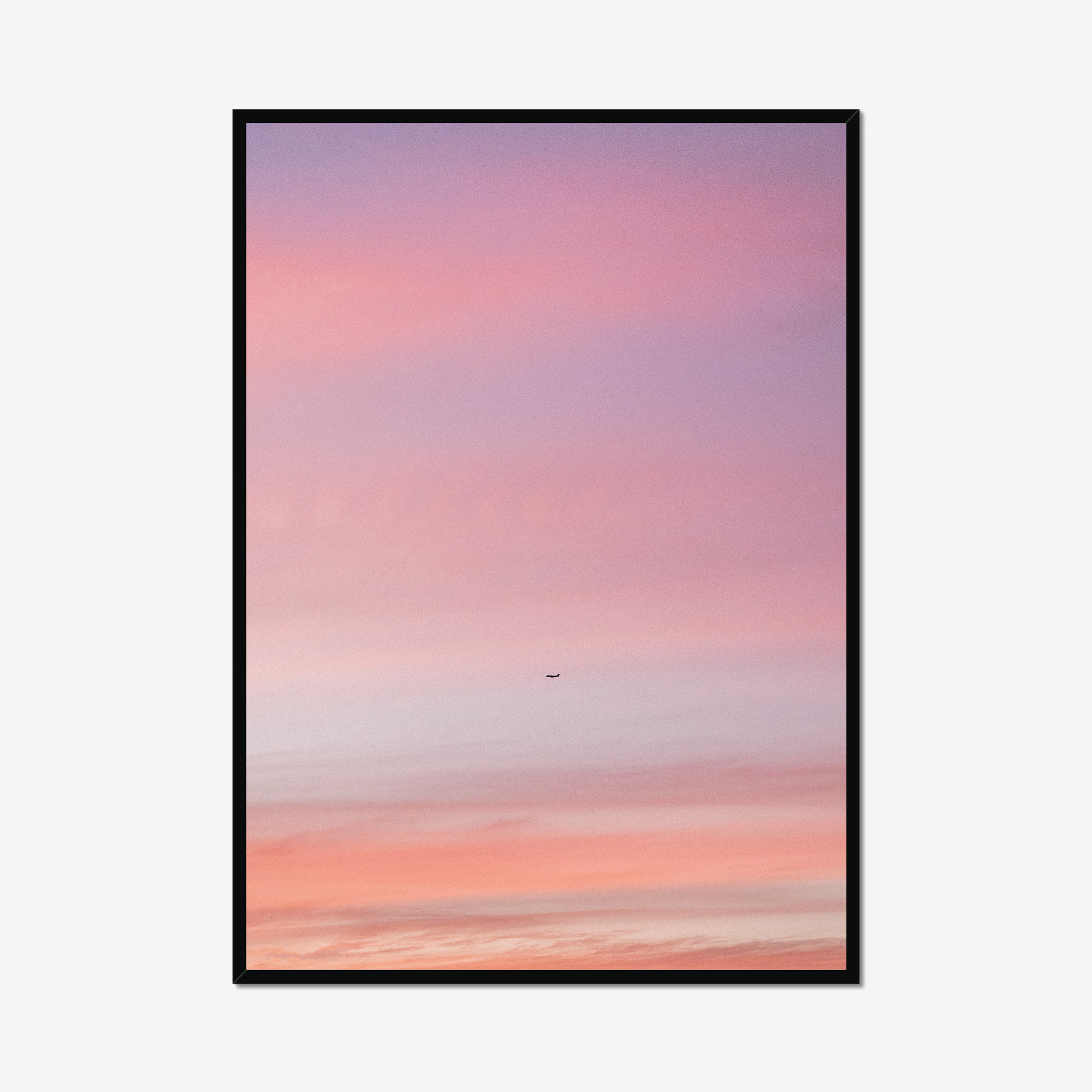 Pastel Flight