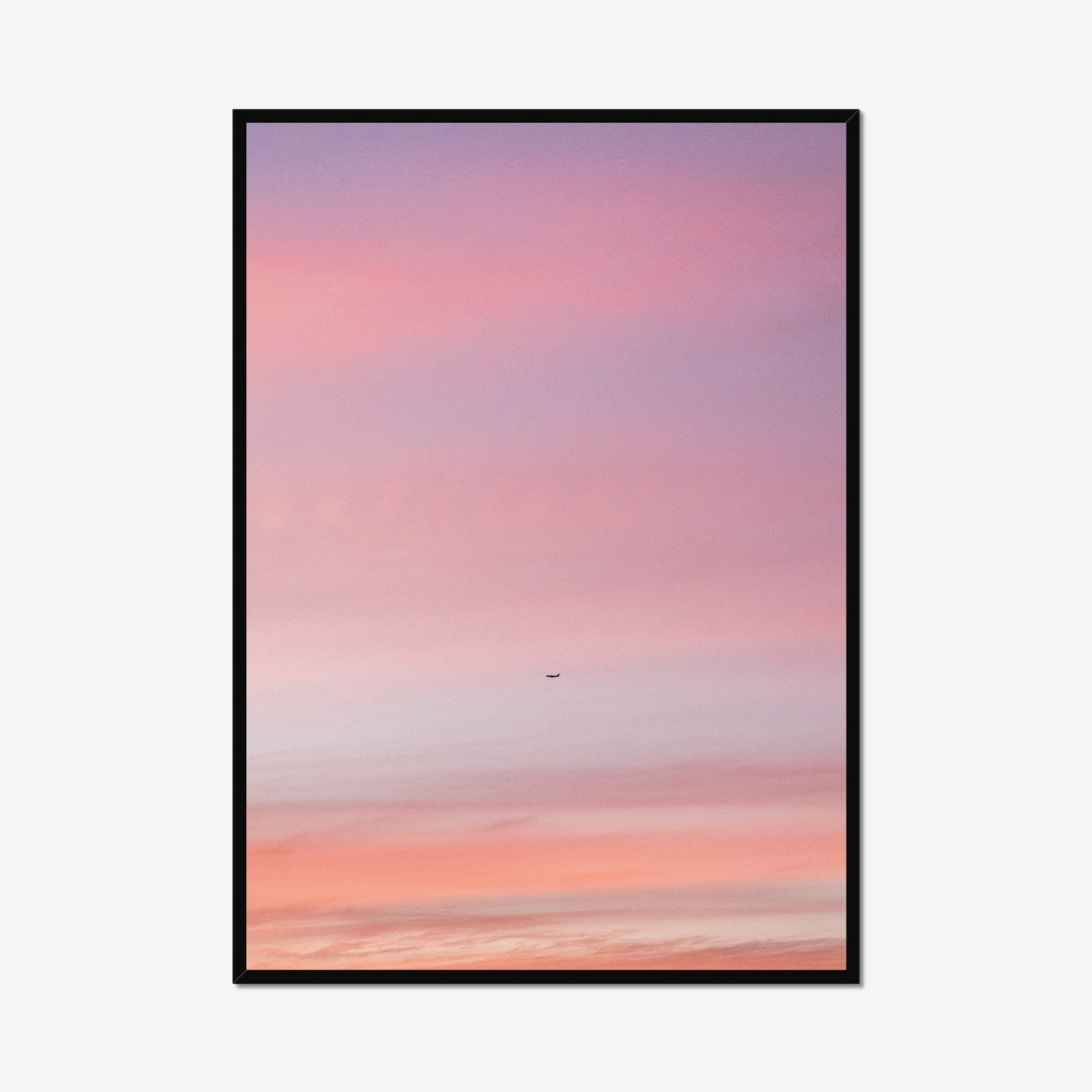 Pastel Flight