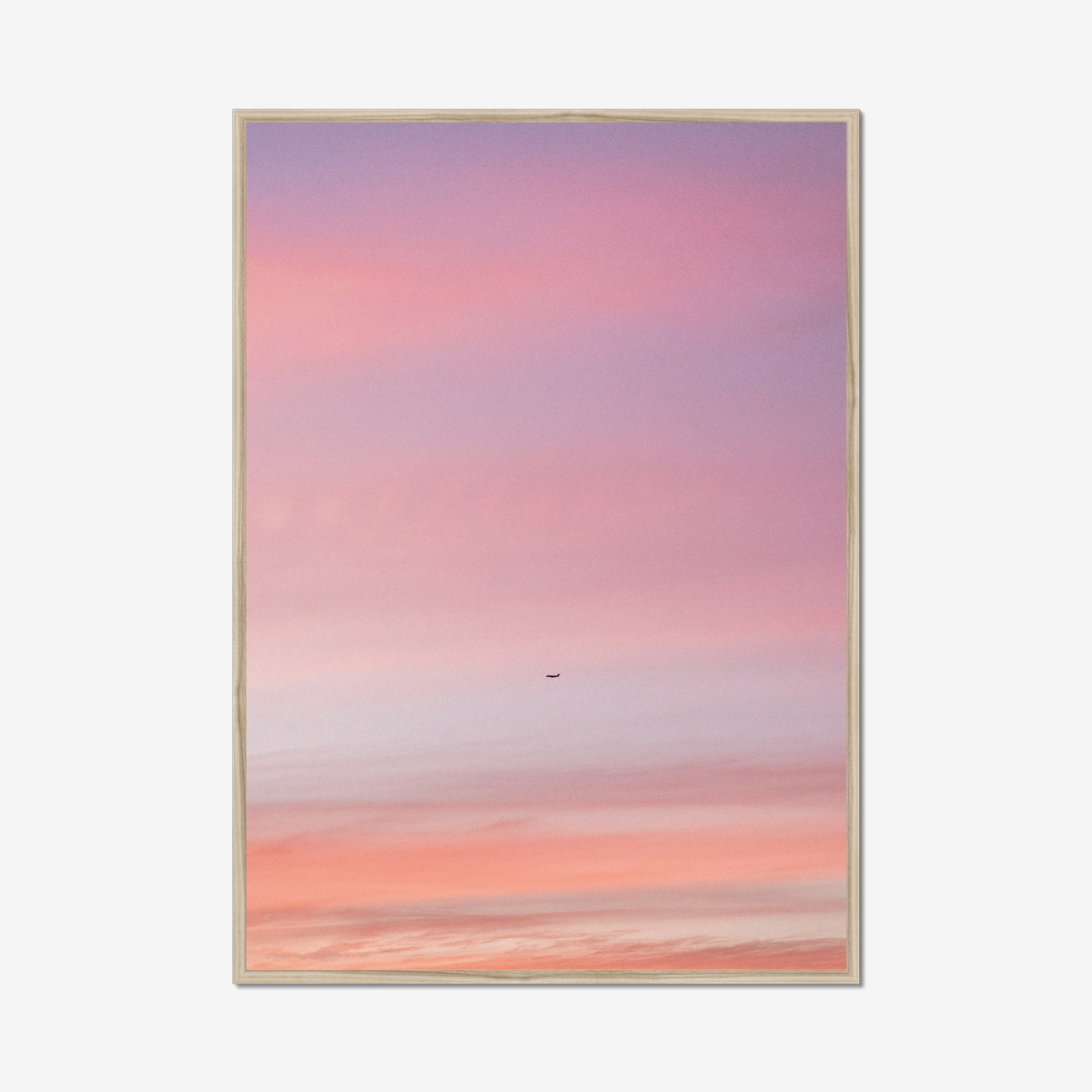 Pastel Flight