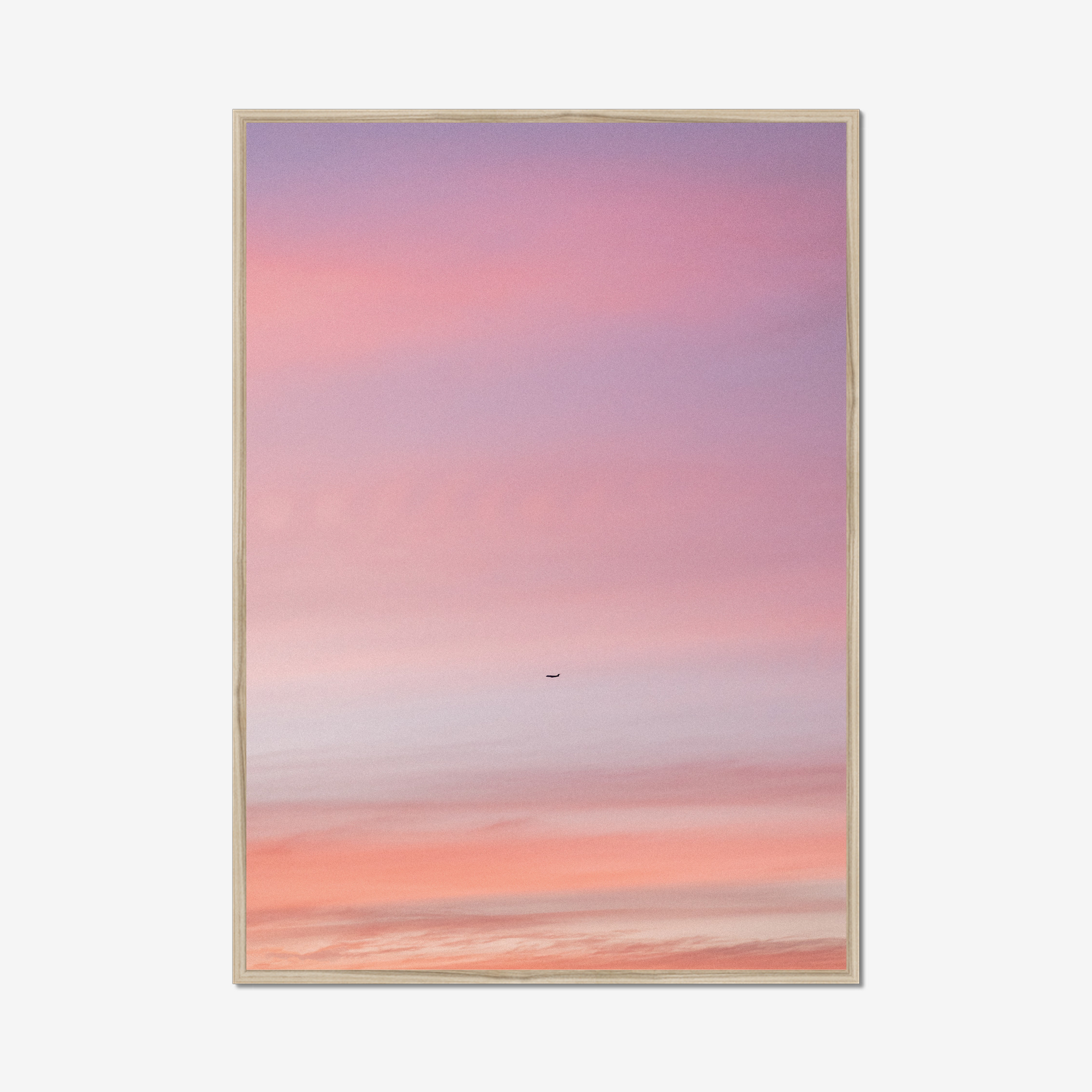Pastel Flight
