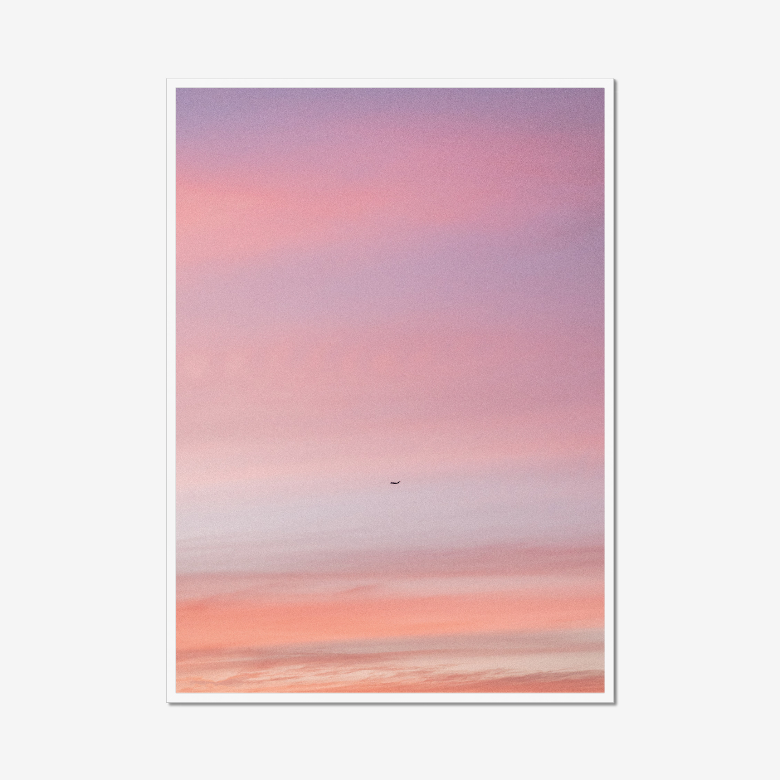Pastel Flight
