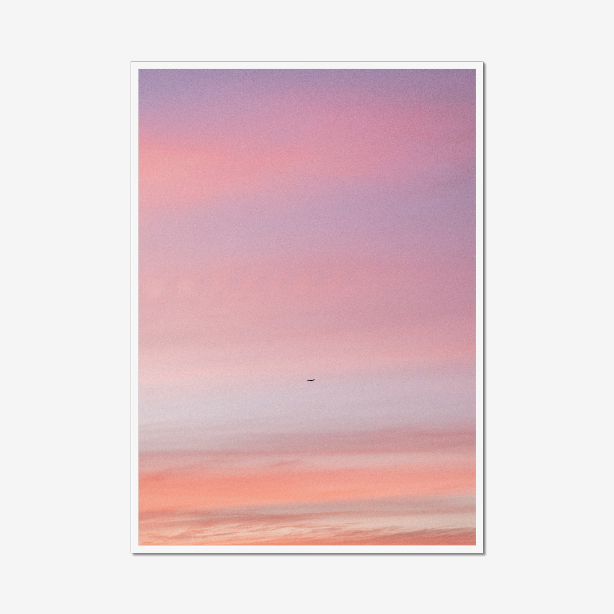 Pastel Flight
