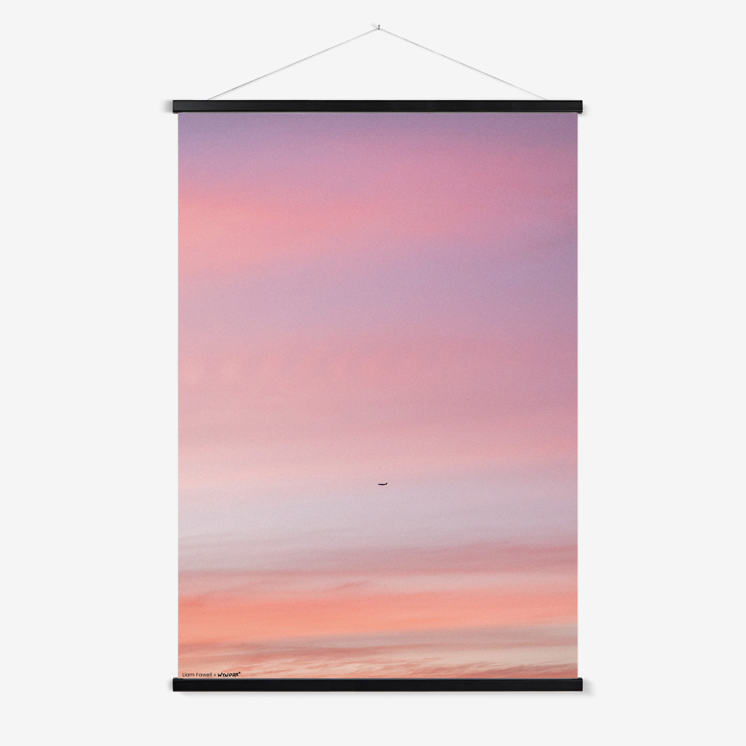 Pastel Flight