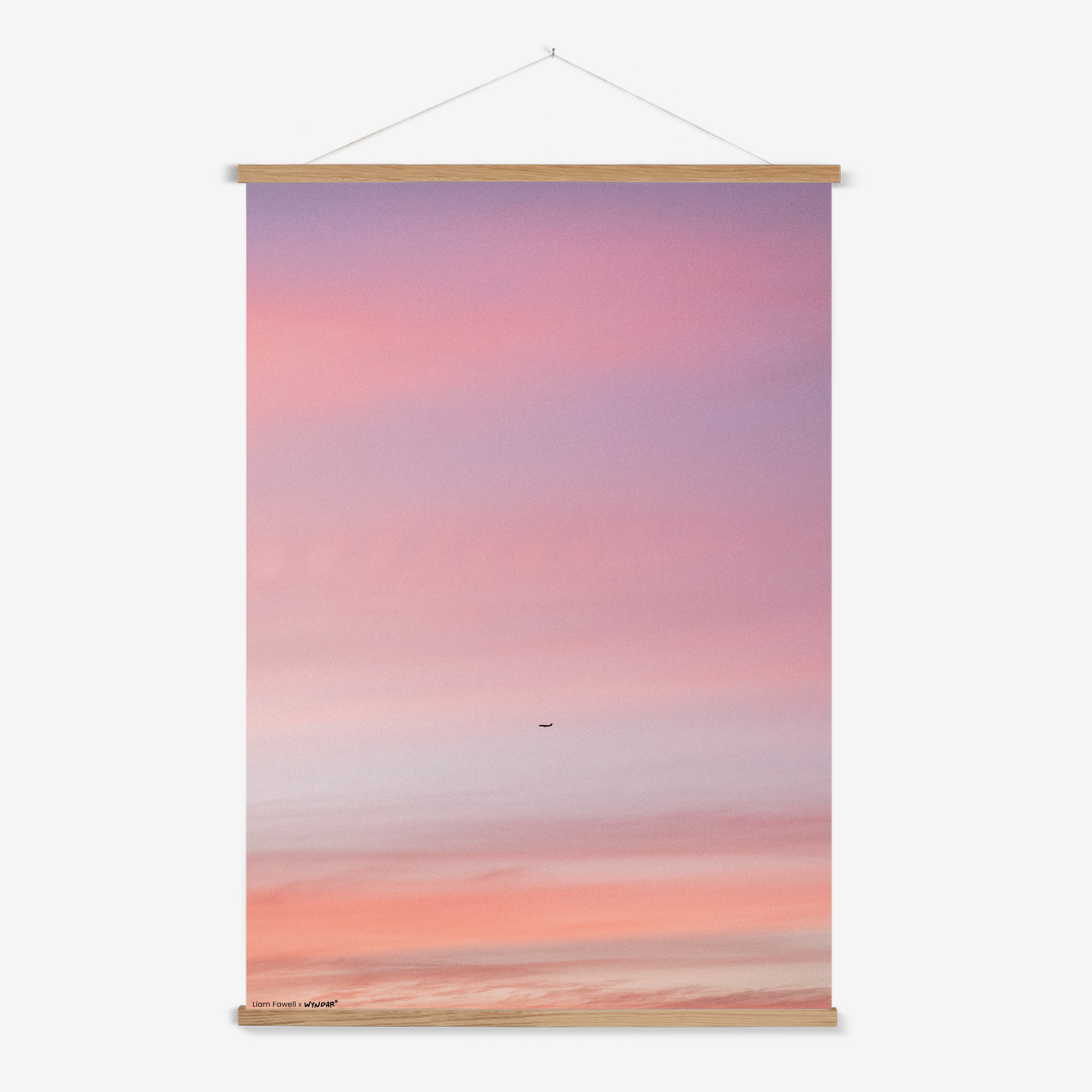 Pastel Flight