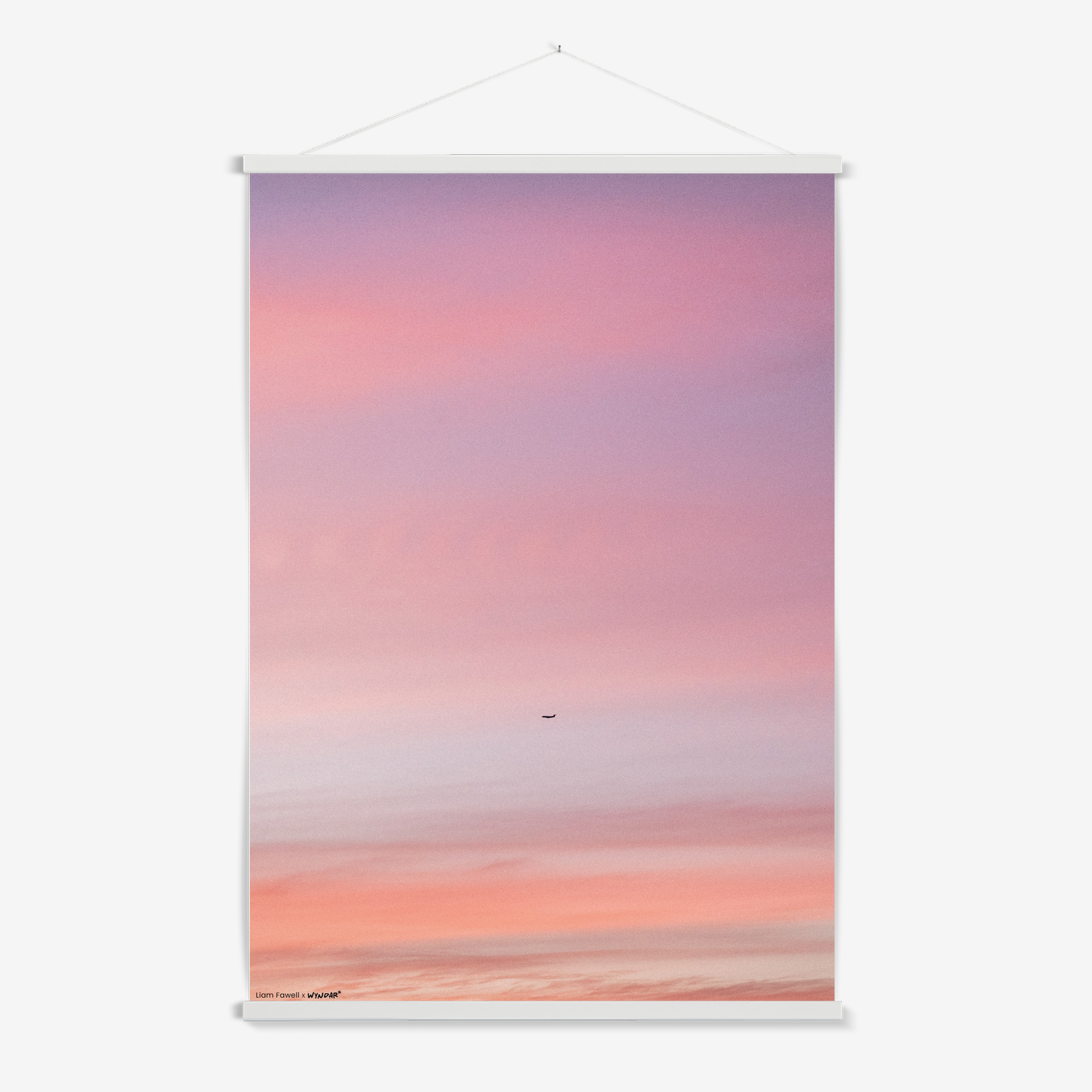 Pastel Flight