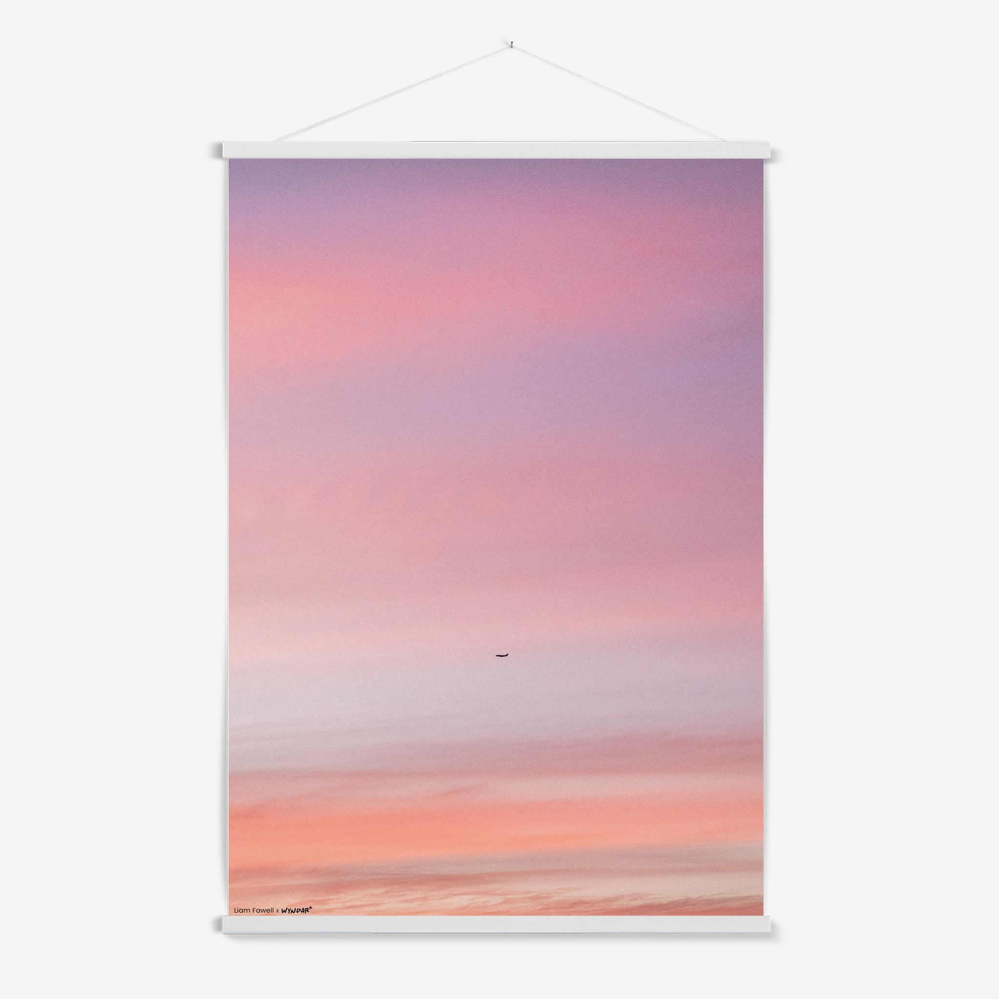 Pastel Flight